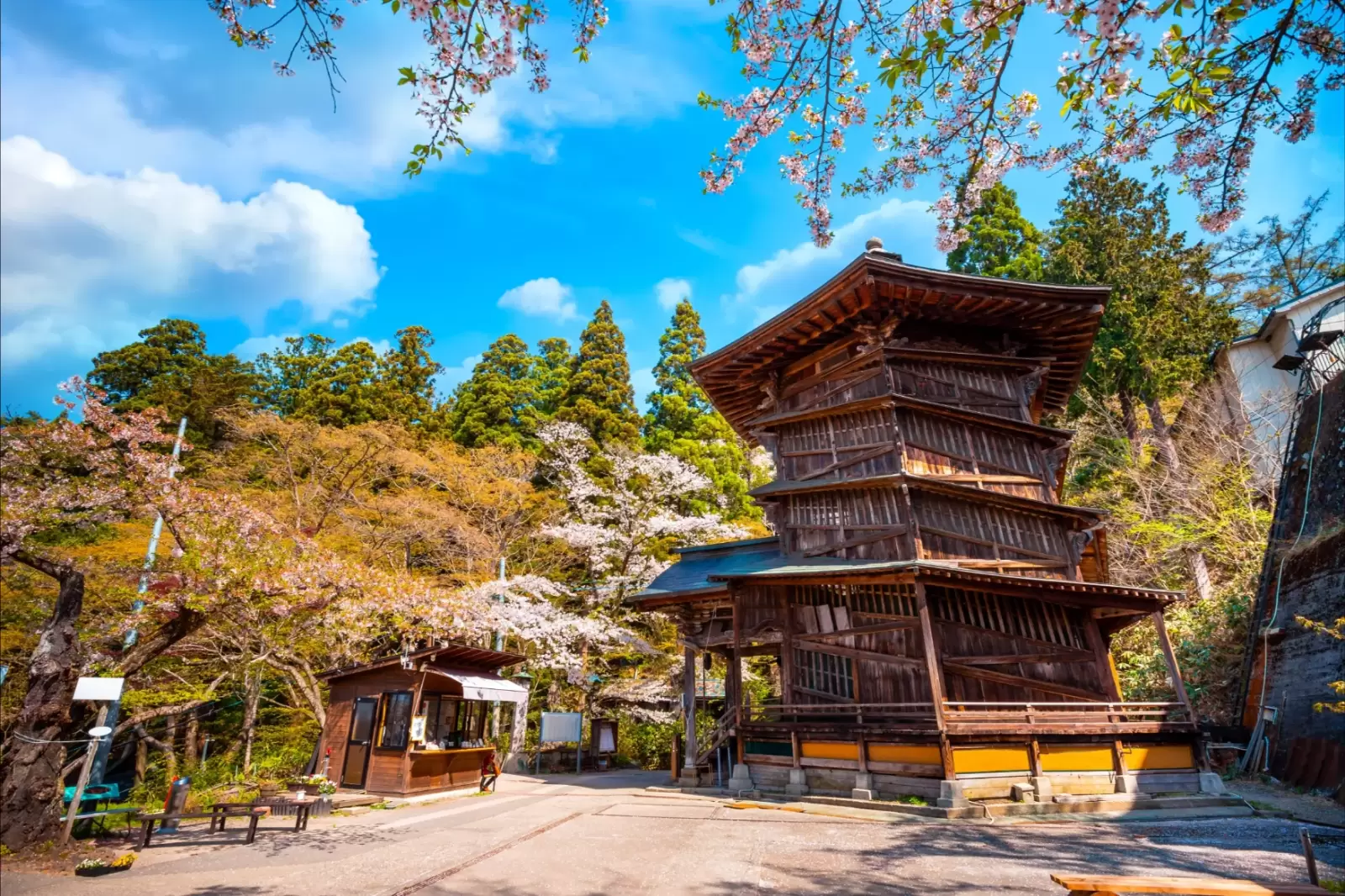 aizu sazaedo temple with cherry blossom in fukushima japan