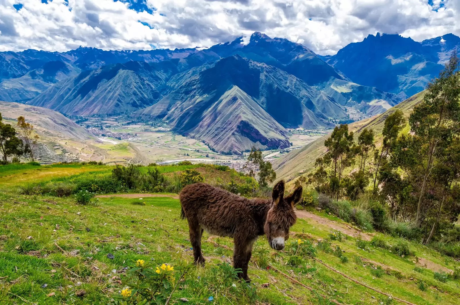 andes in peru
