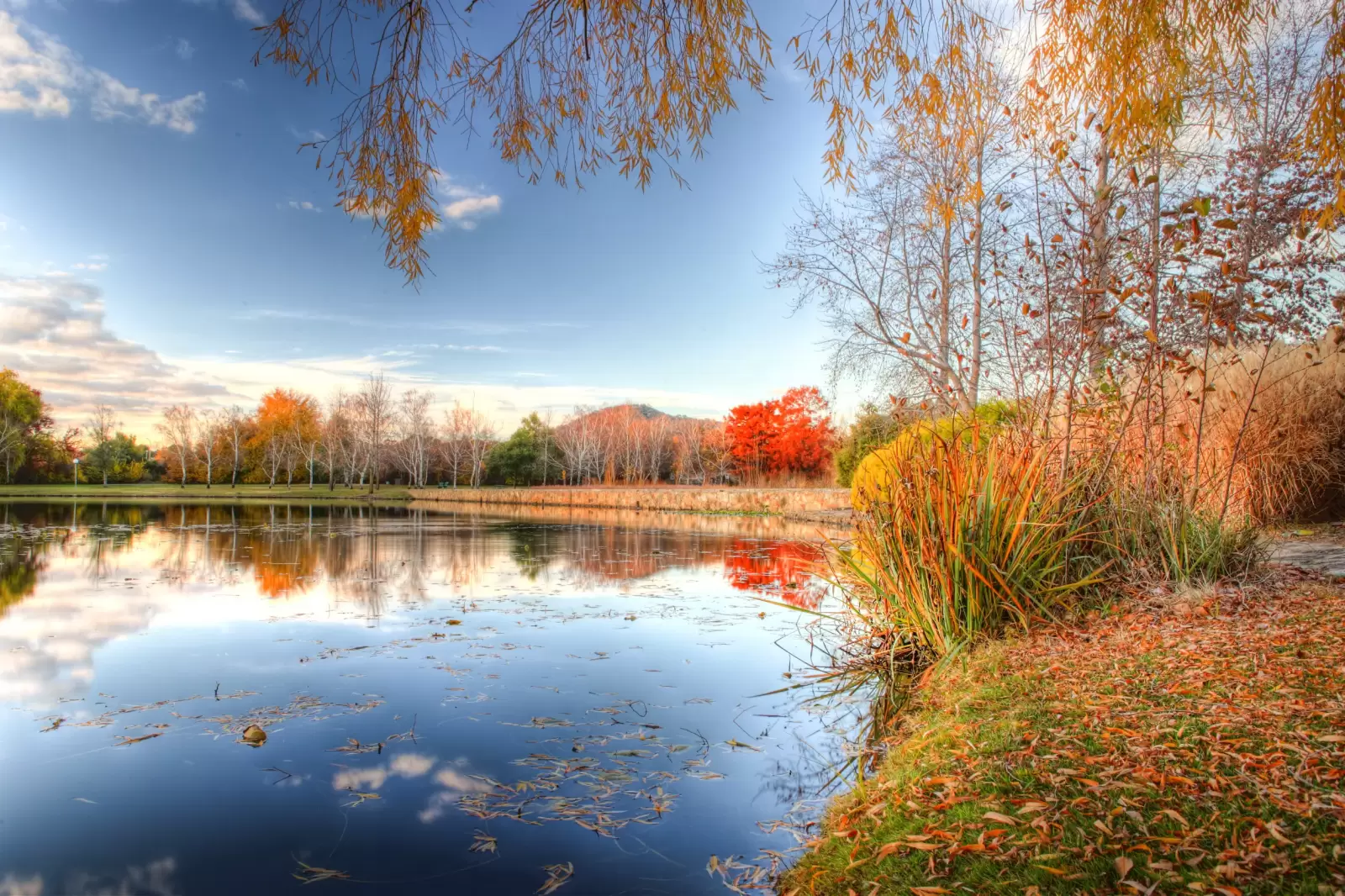 autumn lake burley griffin in canberra australian