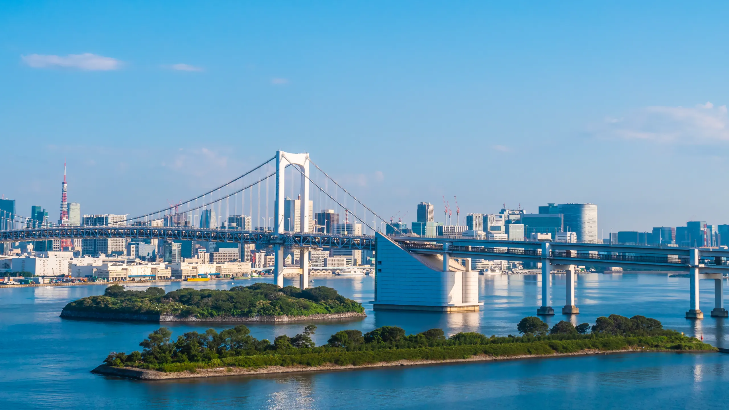 beautiful cityscape with architecture building and rainbow bridge in tokyo city japan