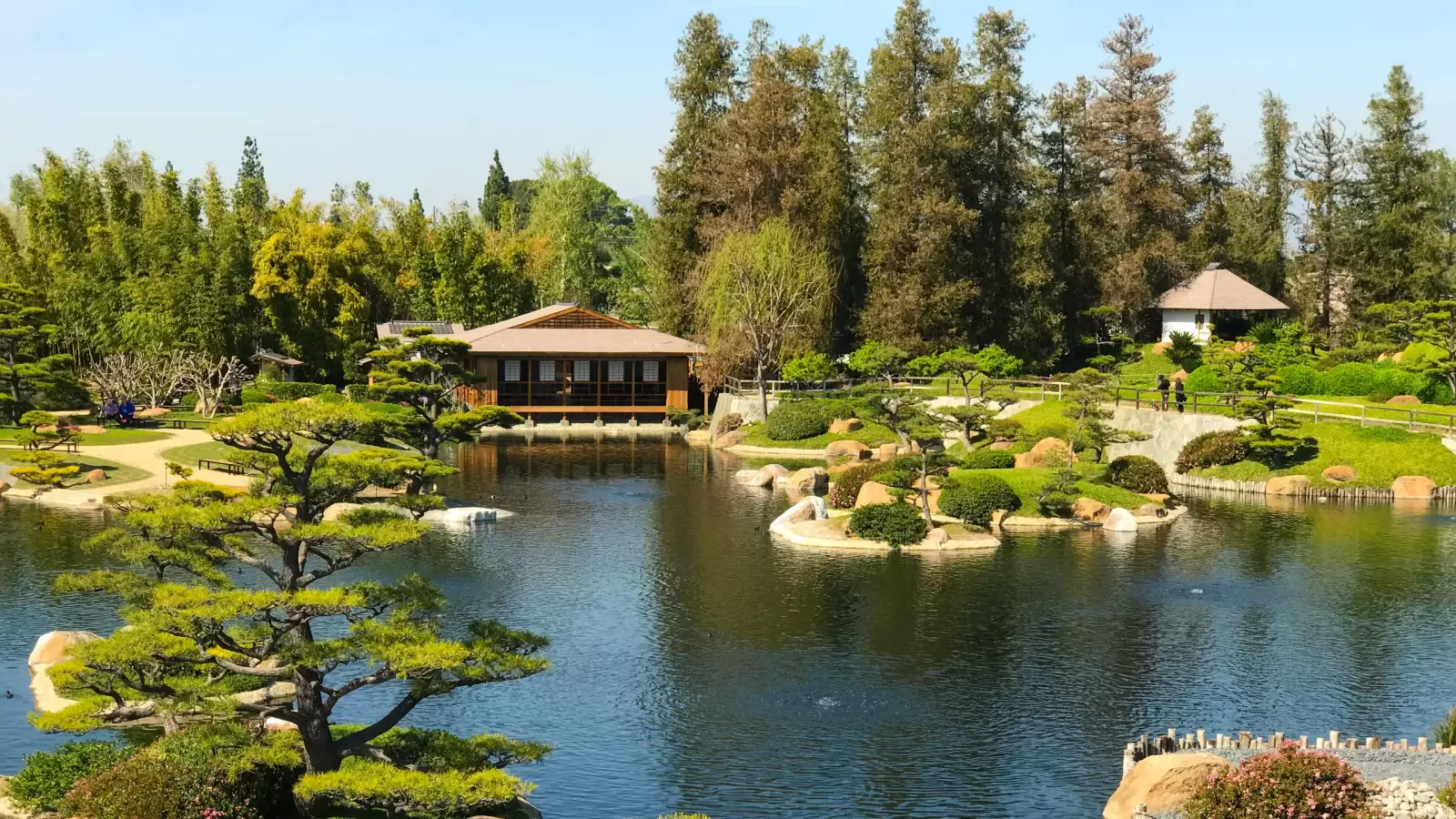 beautiful flowers and trees in japanese garden