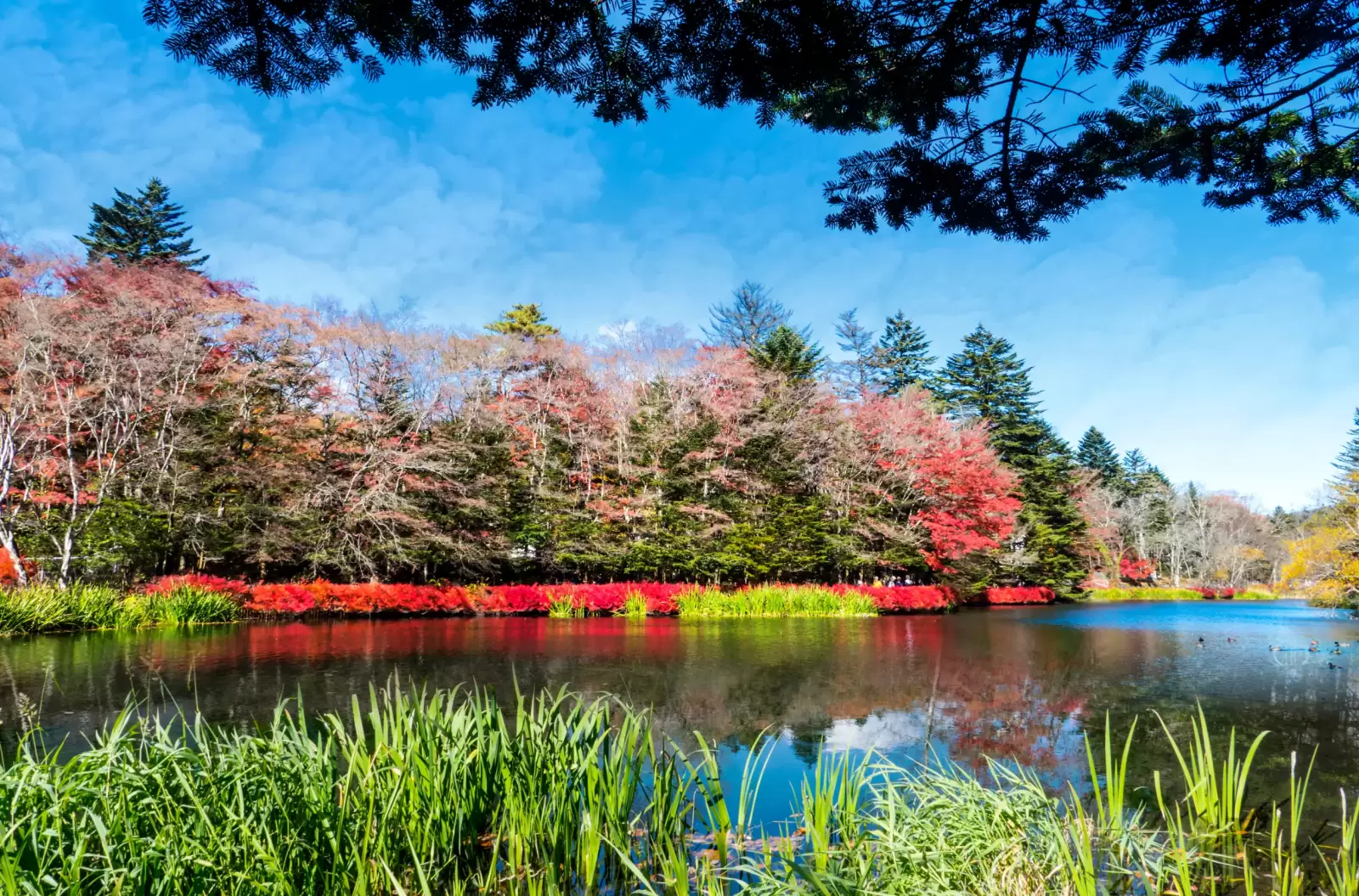 beautiful karuizawa during the fall season japan