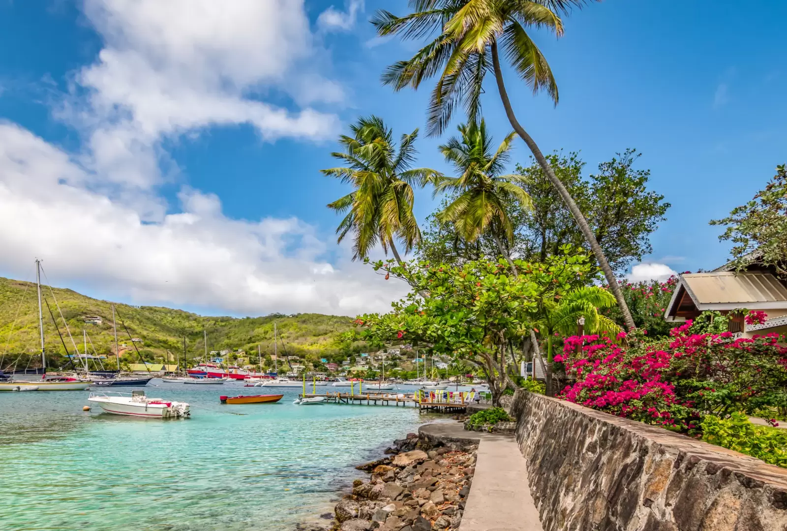 bequia island with palm trees at the harbor