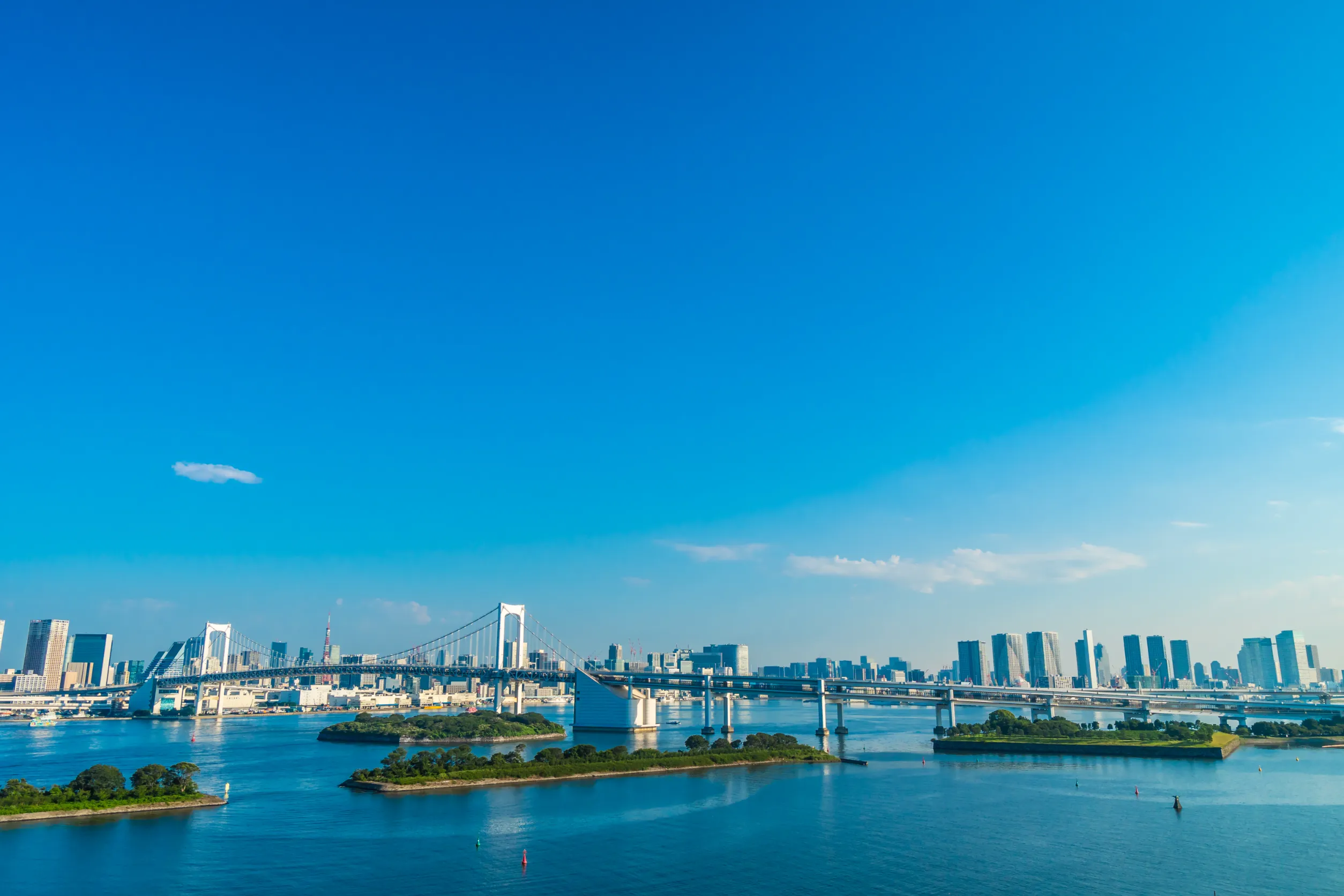 building cityscape of tokyo city with rainbow bridge in japan