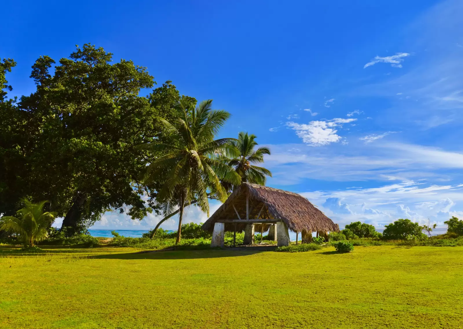 canopy at tropical beach travel background