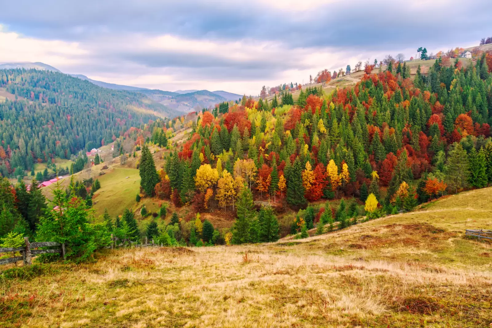 carpathian mountains transylvania romania europe