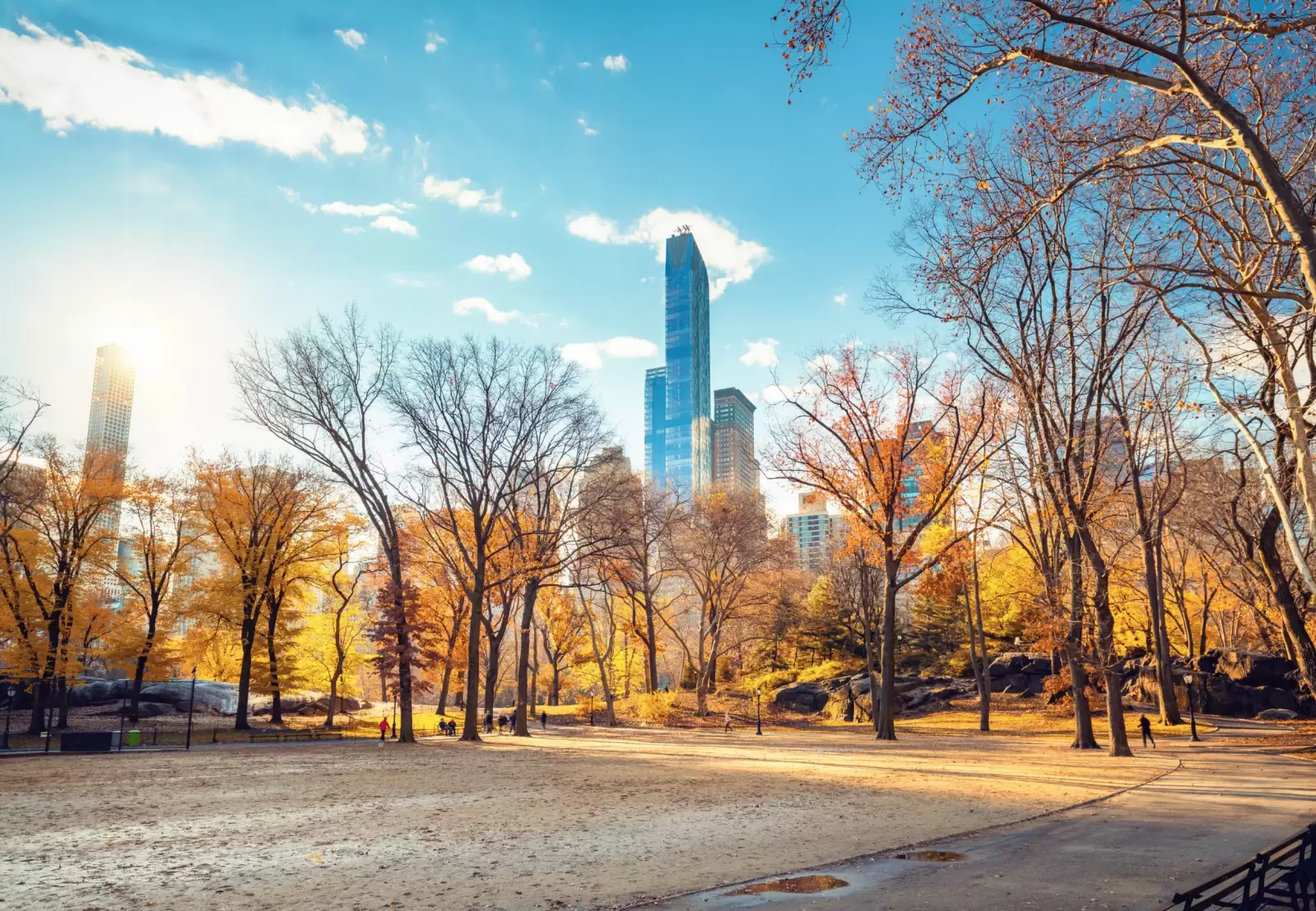 central park in new york city at sunny autumn day usa