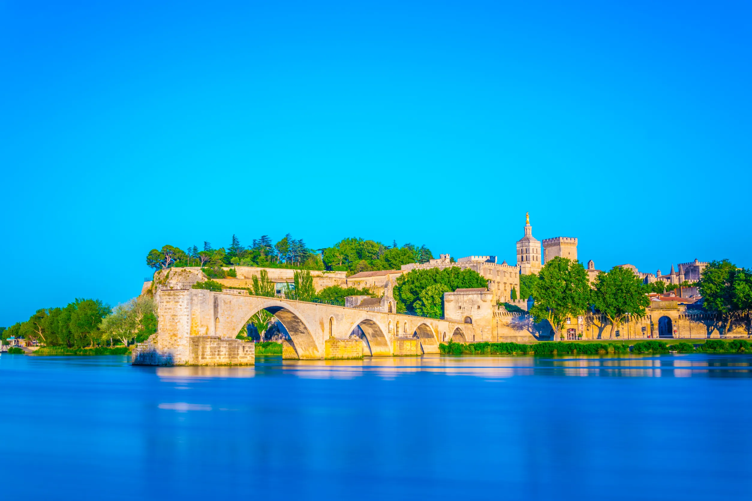 cityscape of avignon with palais des papes cathedral of our lady and pont saint