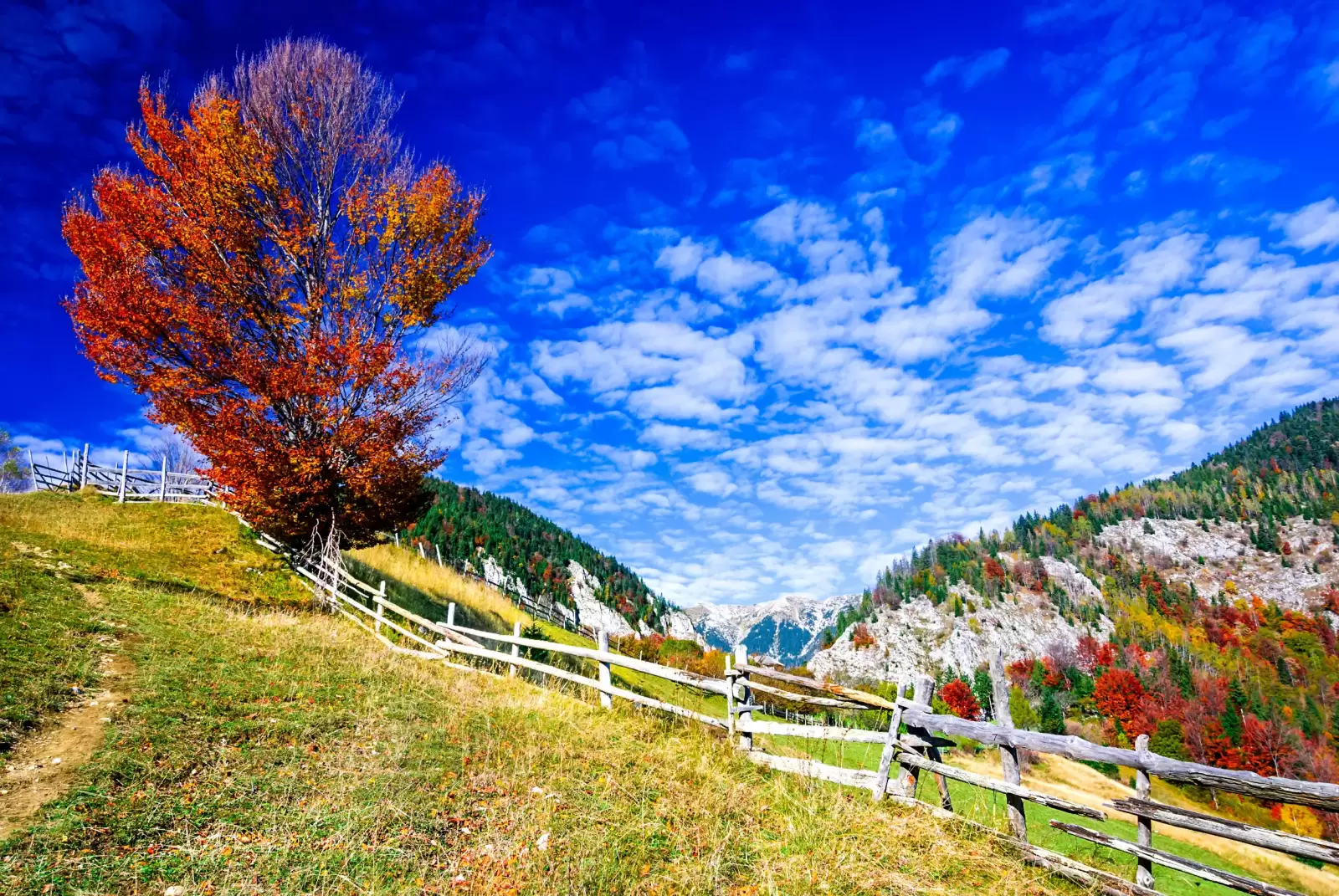 colorful autumn morning in the carpathian mountains magura village transylvania