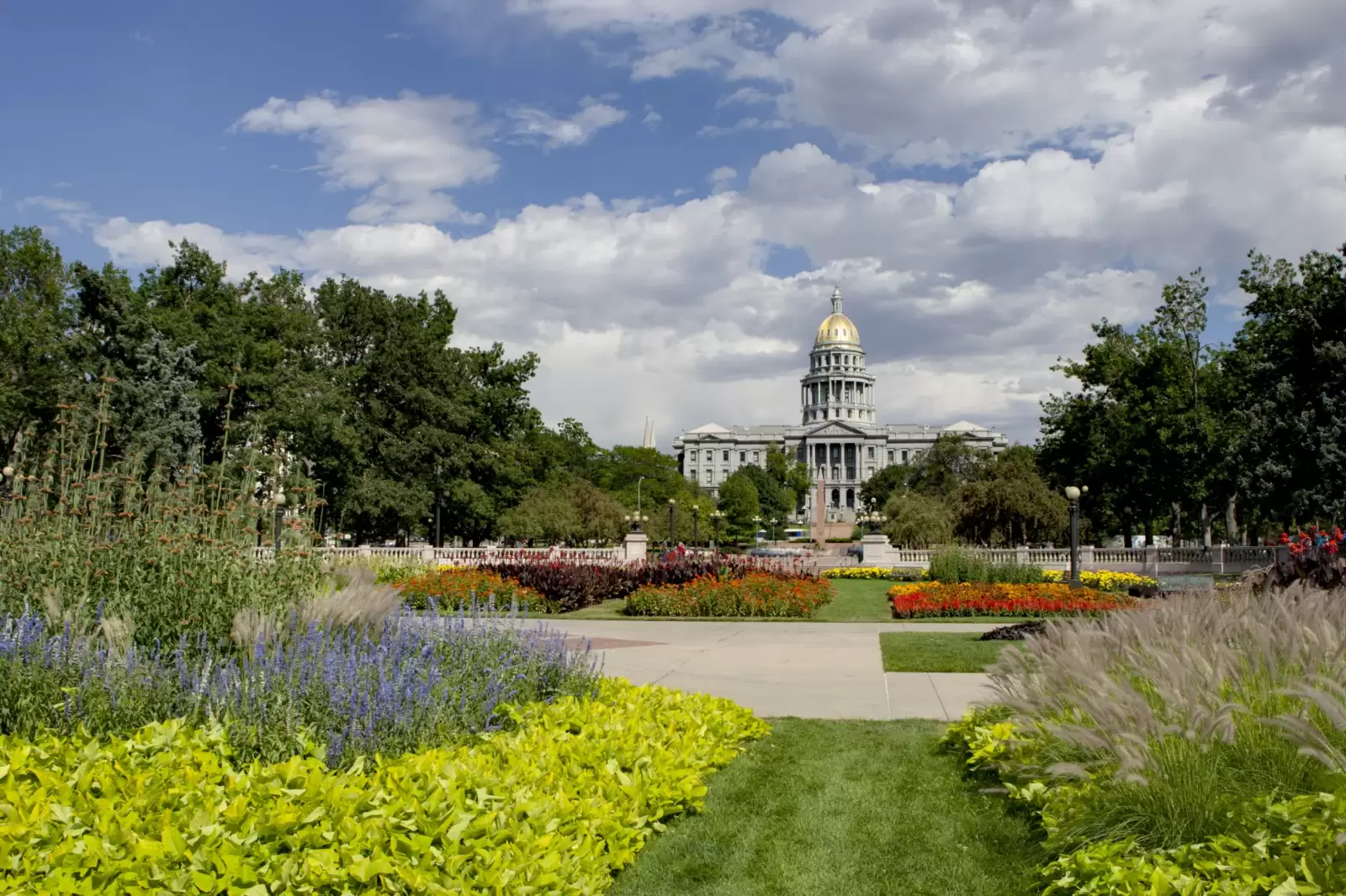 denver capitol summer