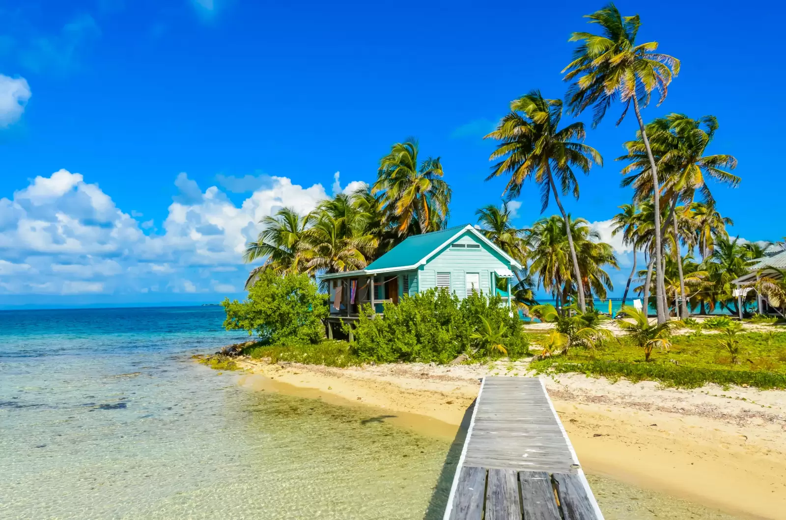 field station caribbean sea belize tropical