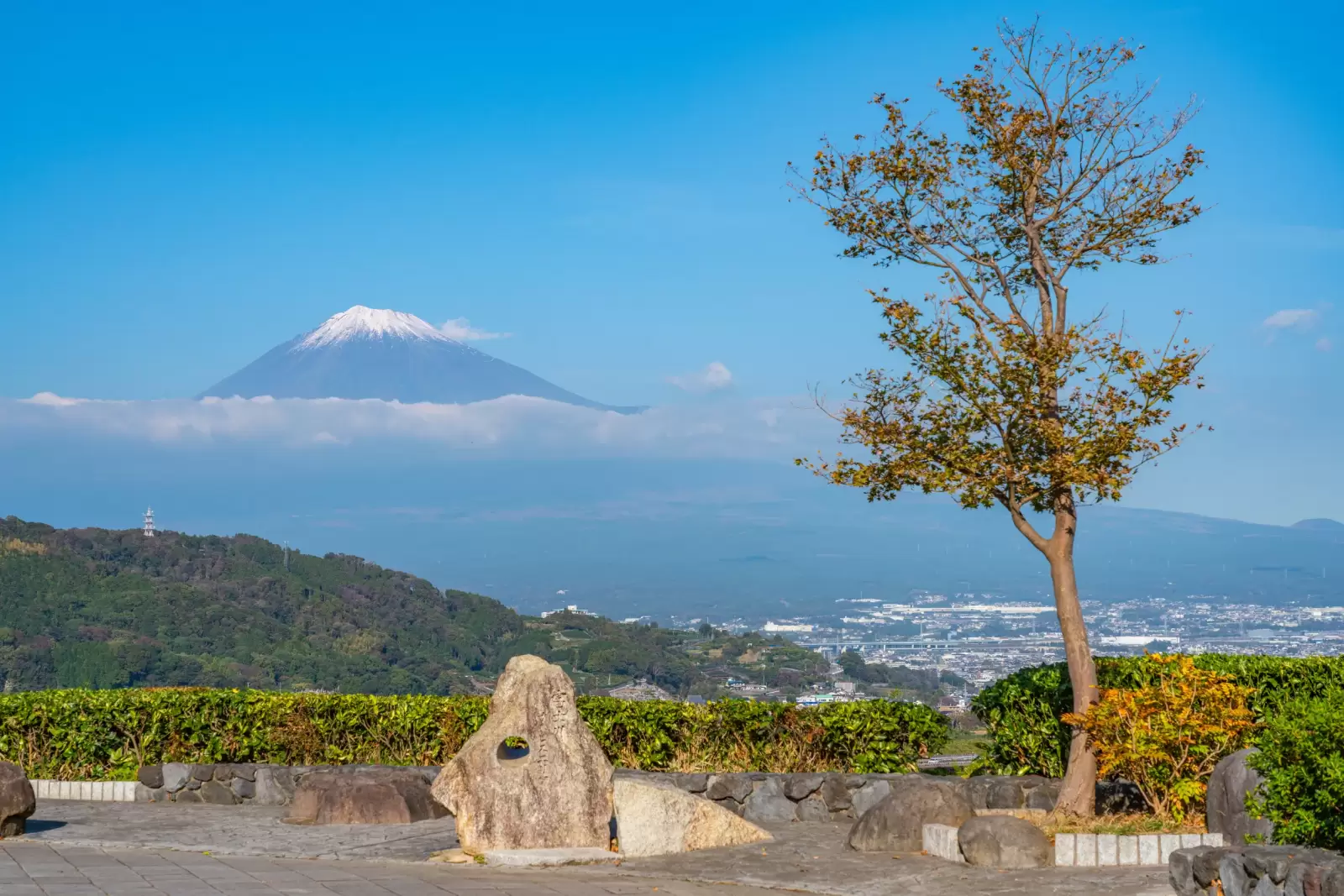 fuji san in clear sky day seen from country road in japan