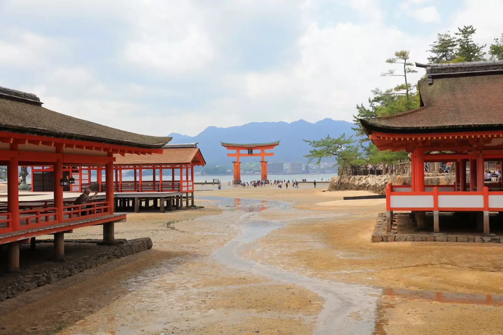 giant torii during low tide near itsukushima shinto shrine in miyajima
