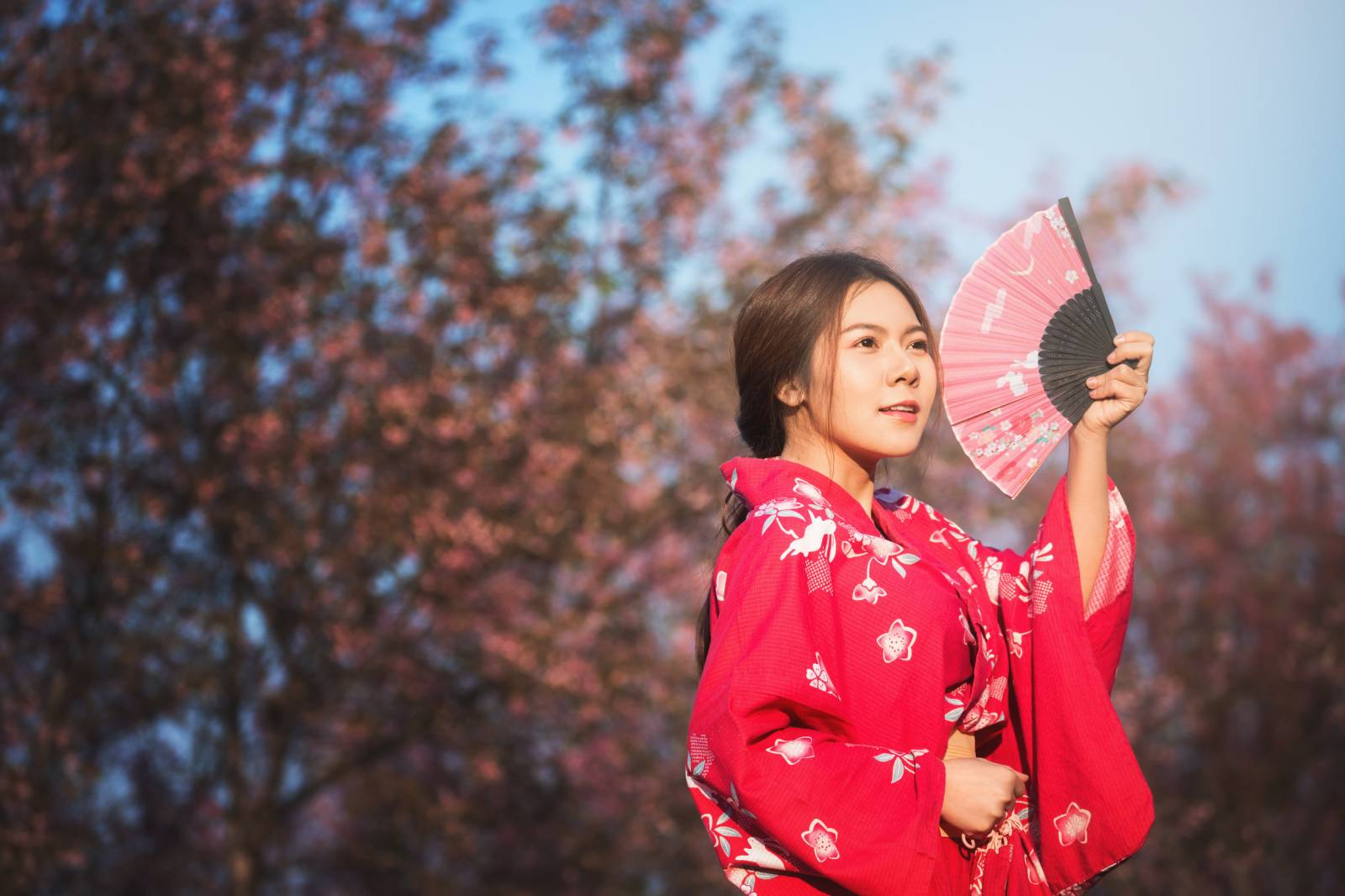 Japan A Land Of Celebrations