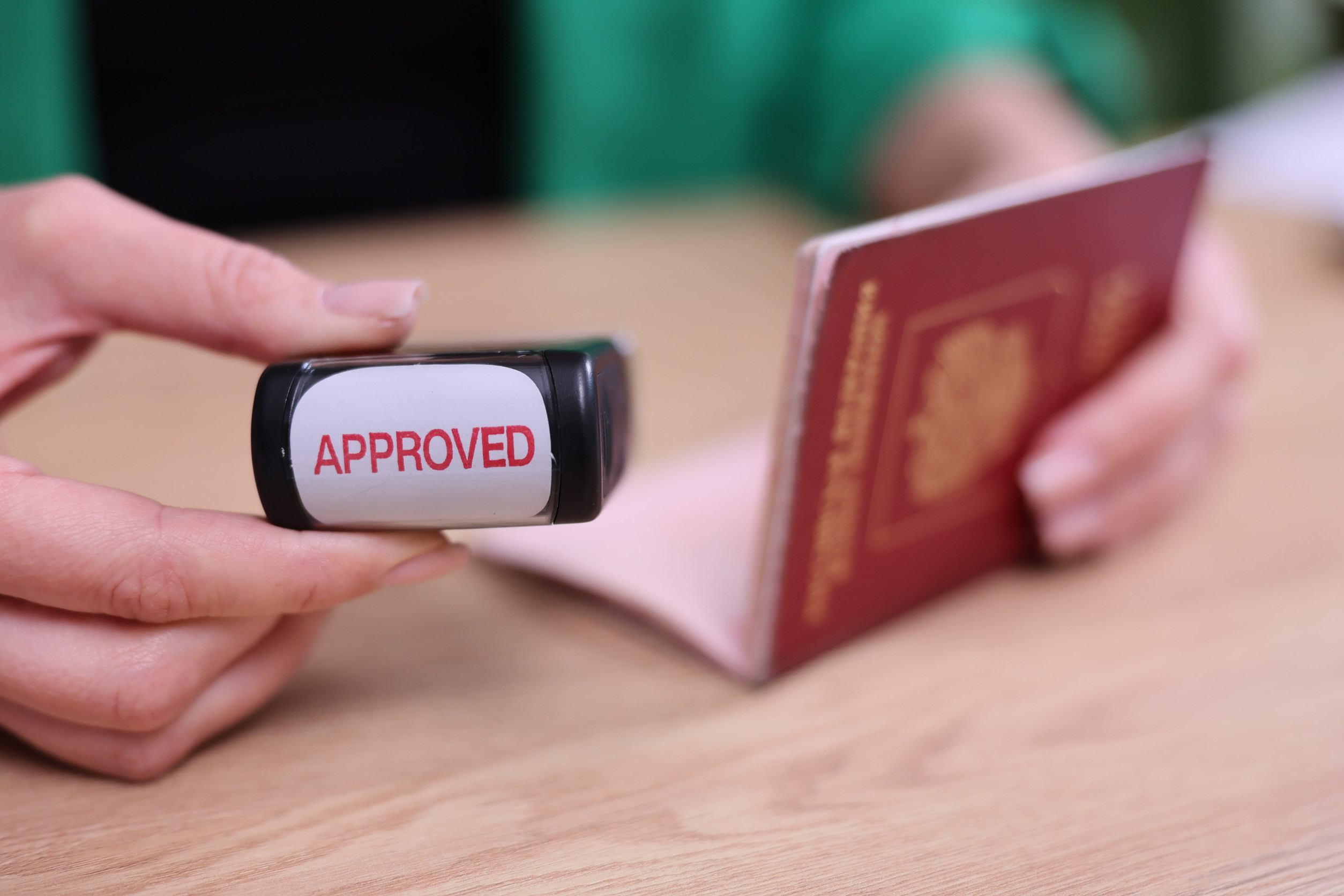 Japan Evisa Application Approved