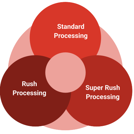 How to Apply for the Morocco eVisa from Albania