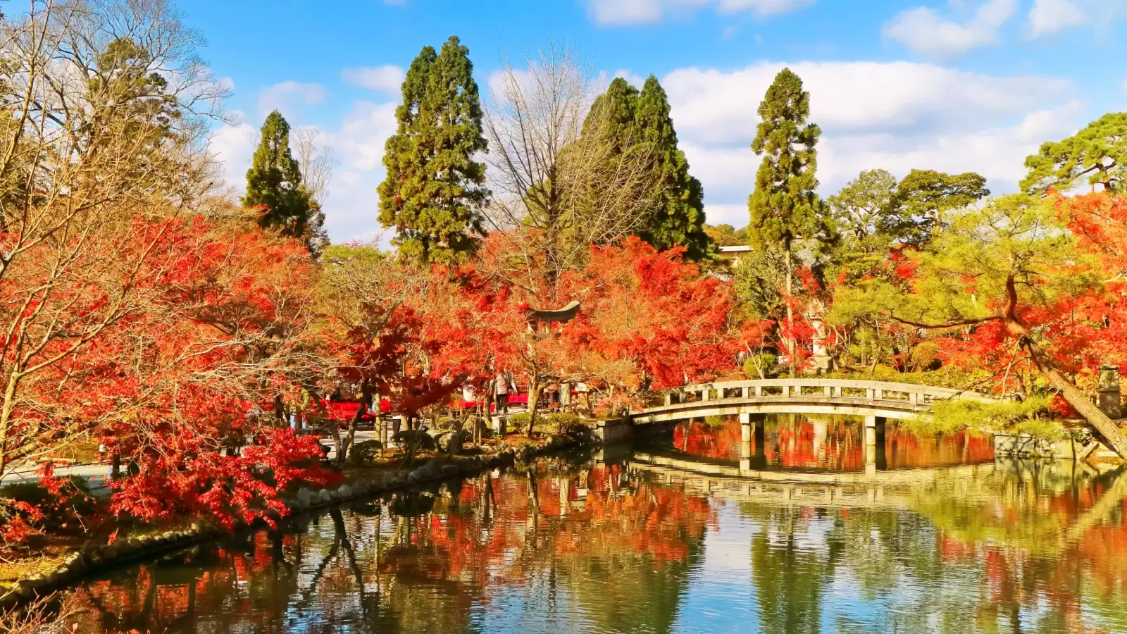 japanese garden autumn in kyoto japan