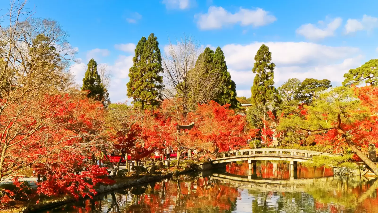 japanese garden in autumn in kyoto japan