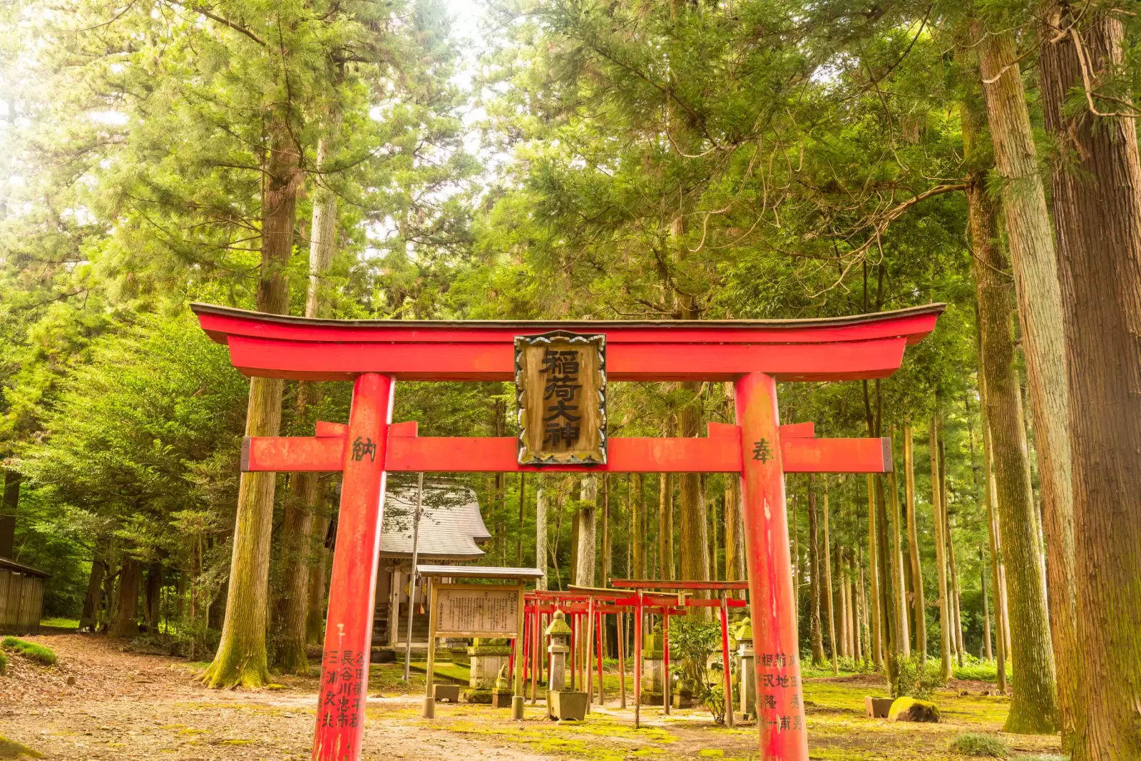 japanese shrine or japanese temple in the forest