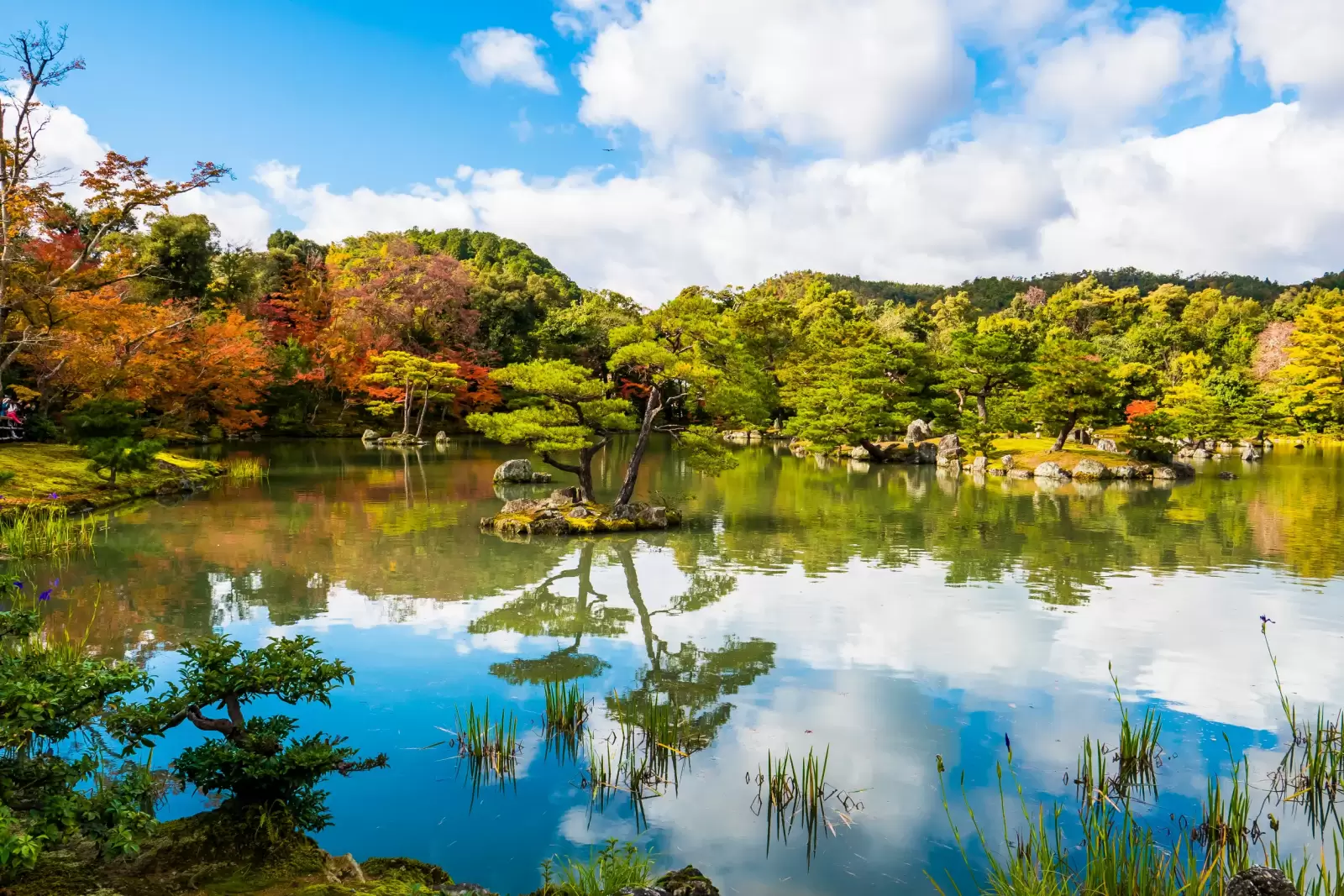 japanese zen garden autumn lake