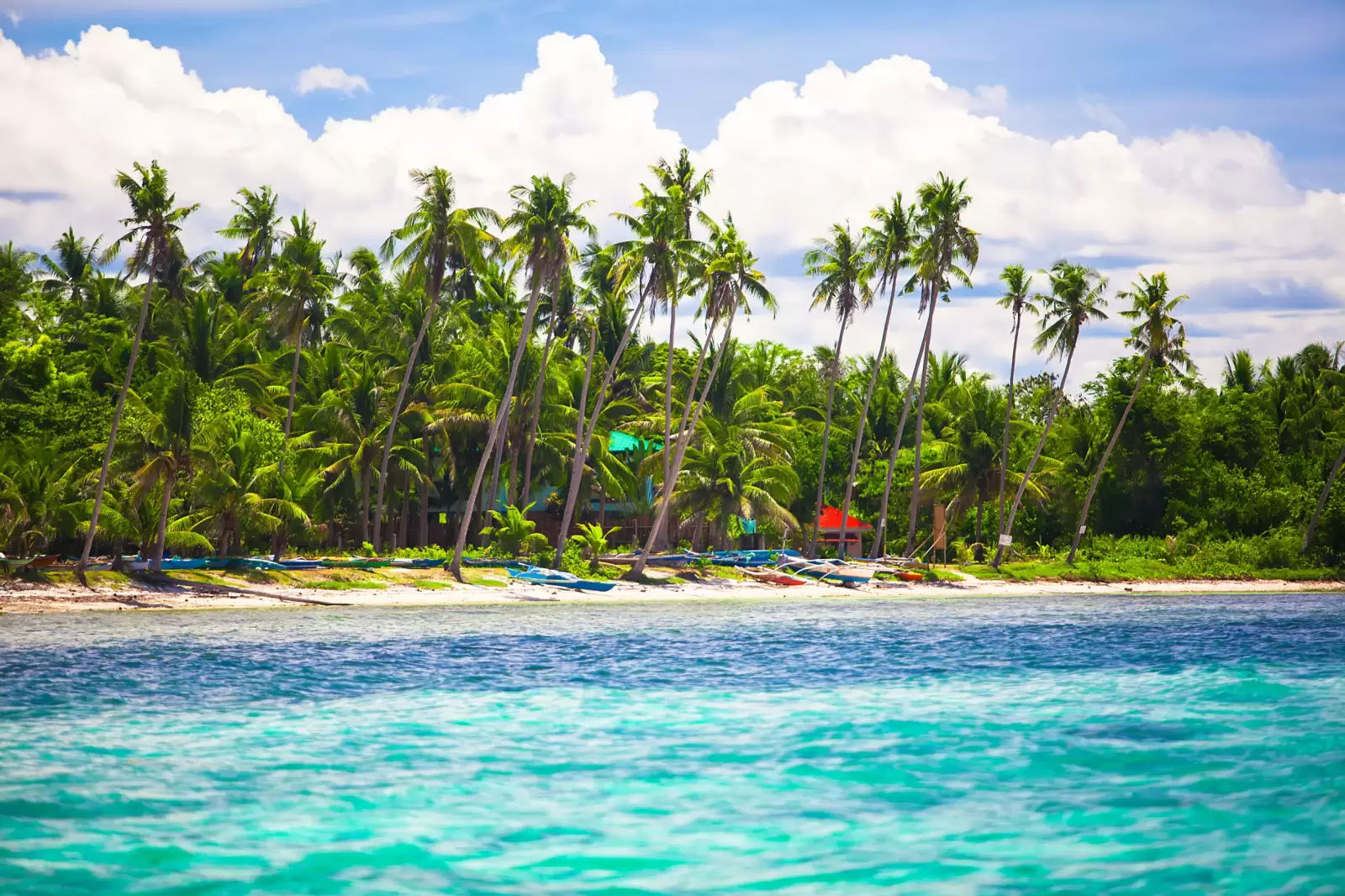landscape of tropical island beach with perfect blue sky in bohol island