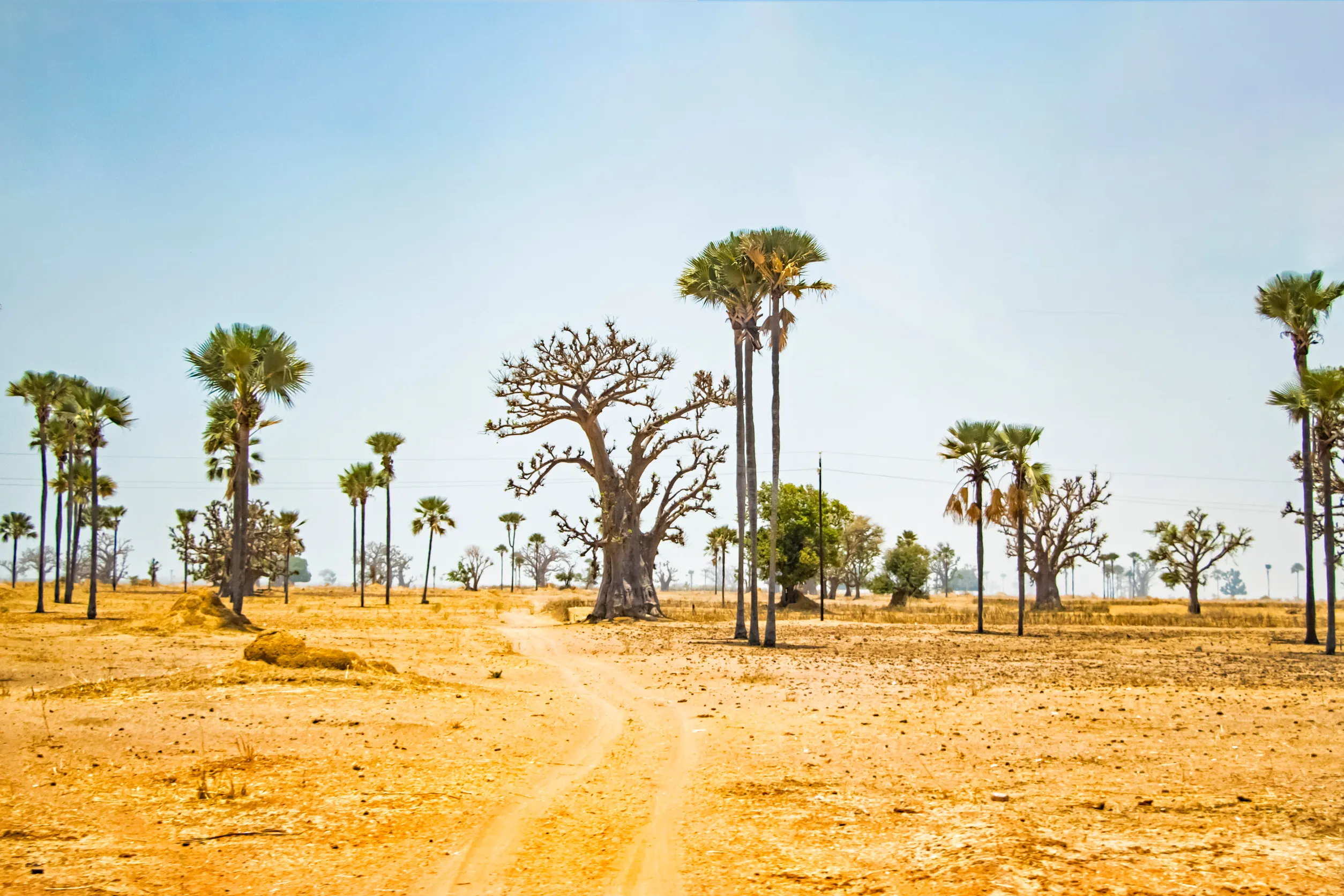 middle of desert in senegal africa