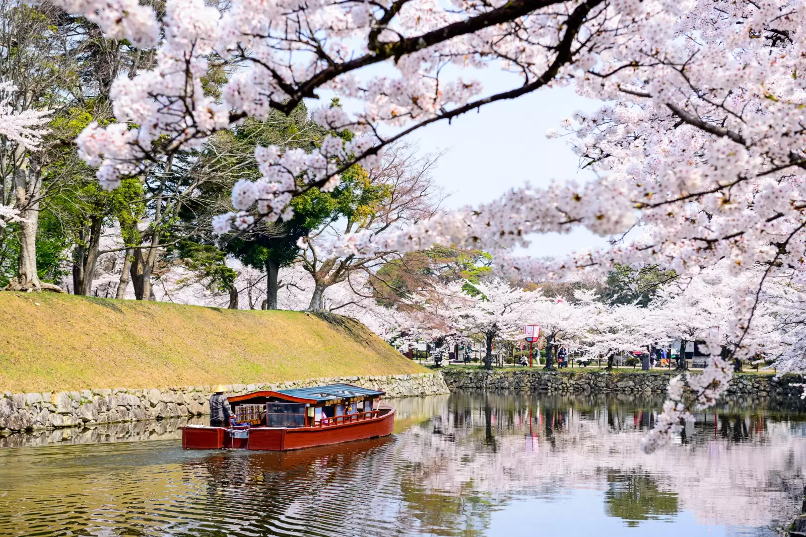 moat around hikone castle in the spring in hikone japan
