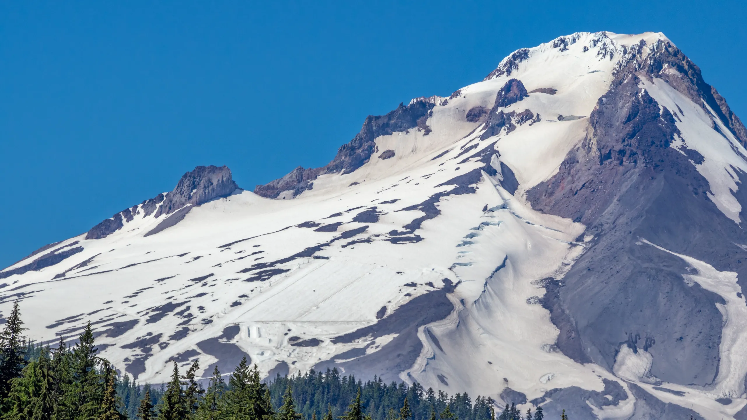 mount hood national forest frog lake view