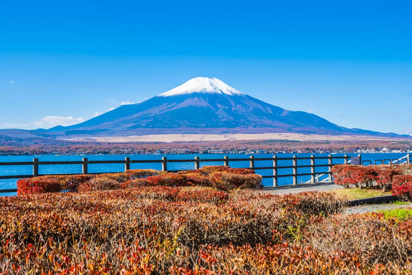 mountain fuji around yamanakako lake japan