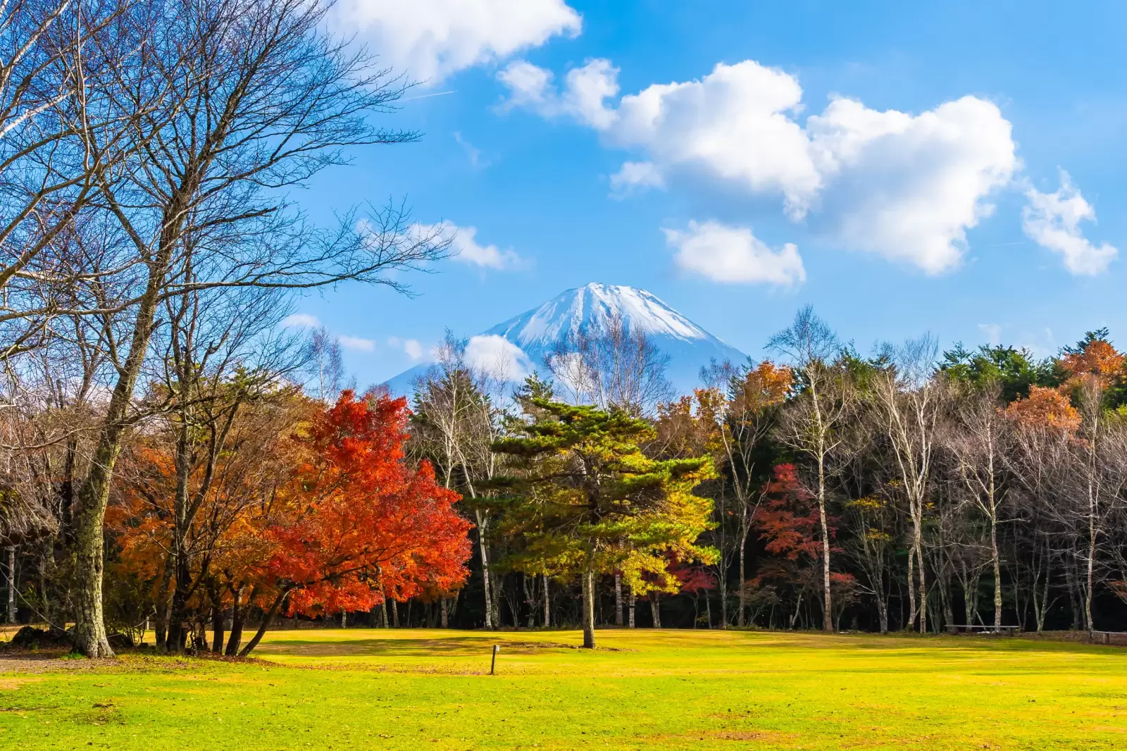 mountain fuji with maple leaf tree around lake in autumn season japan
