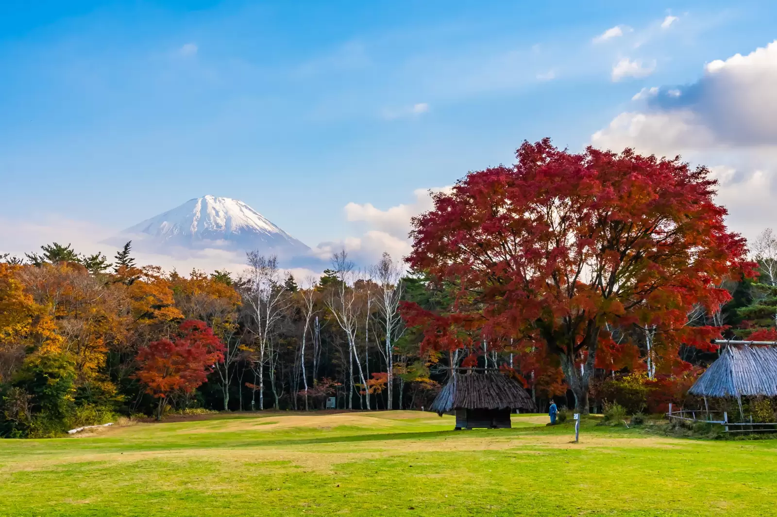 mountain fuji with maple leaf tree around lake in autumn