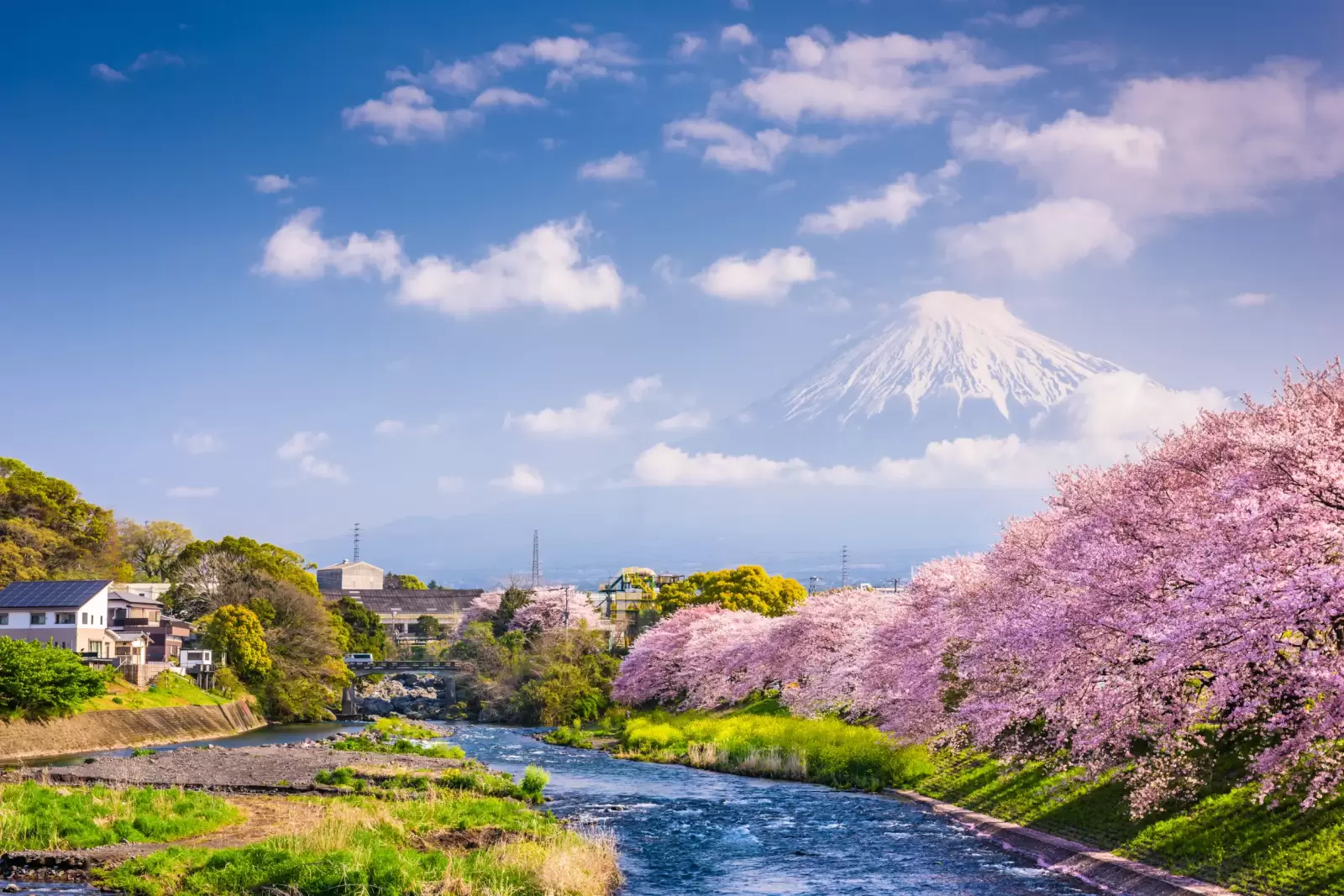 mt fuji japan spring landscape