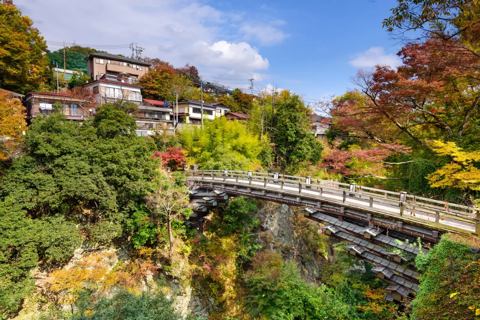 otsuki japan at saruhashi monkey bridge