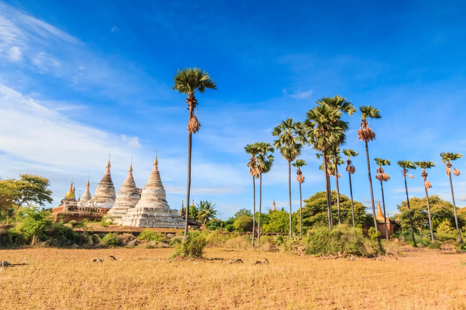 pagoda and temples in old town at bagan in myanmar asia