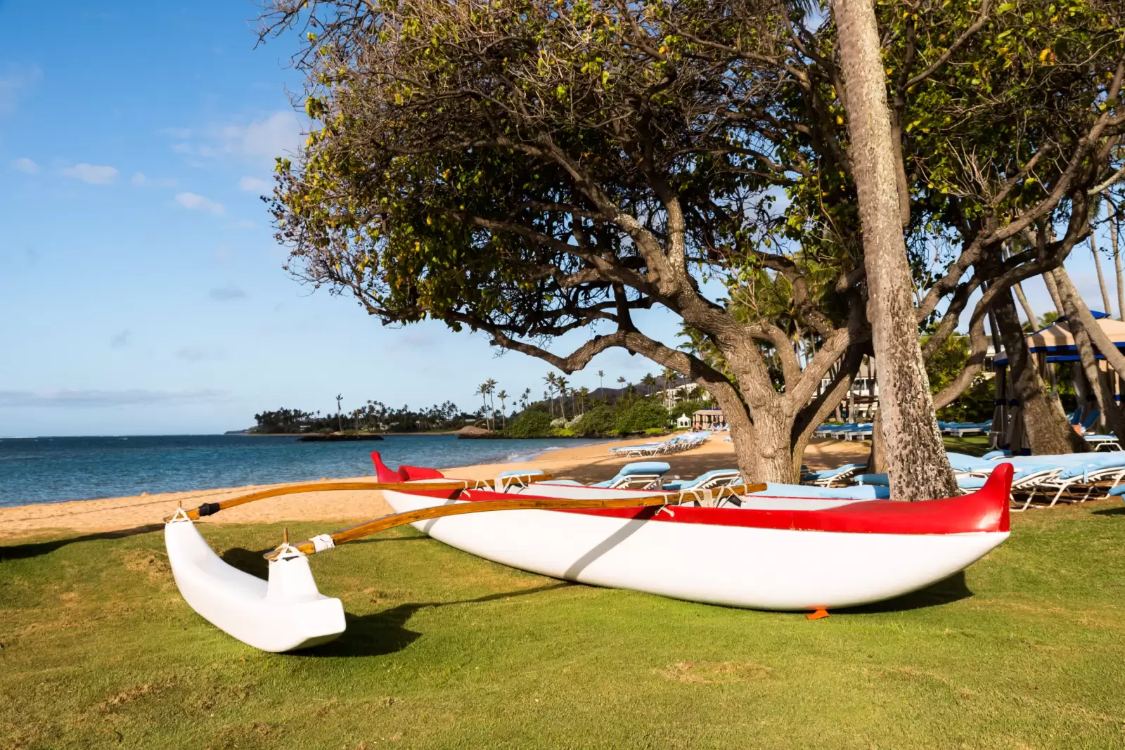 polynesian outrigger canoe on the beach in the morning