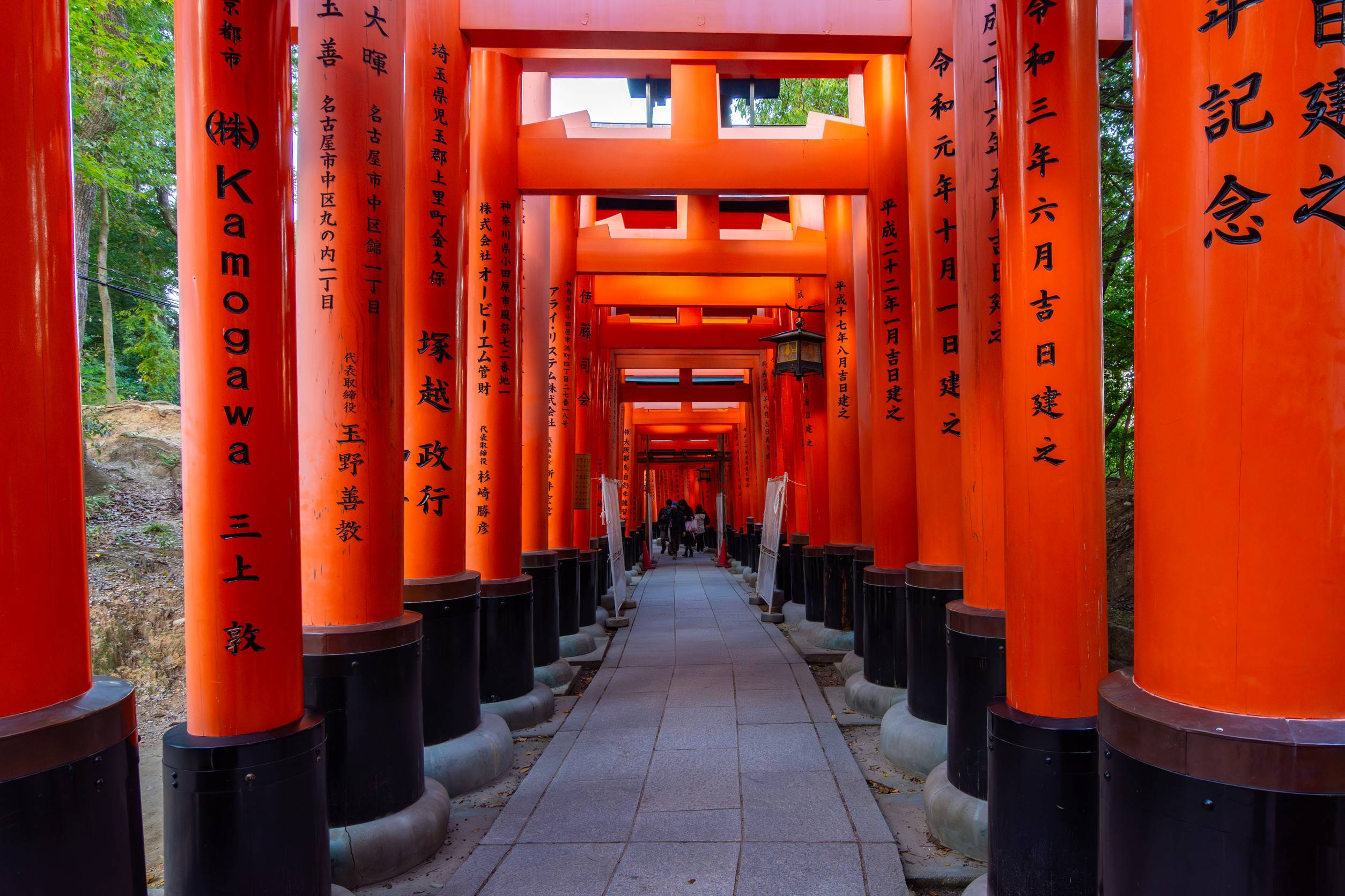 Red torii gates at Fushimi Inari