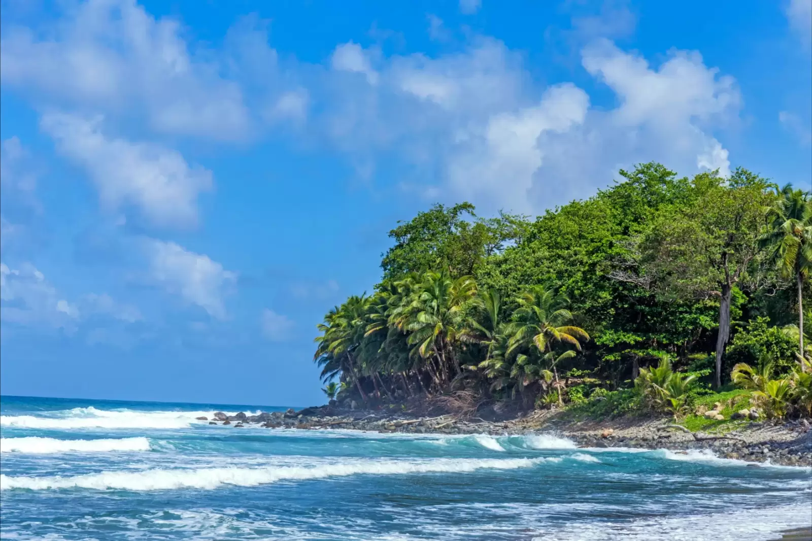scenic ocen landscape in dominica with huge waves and view to the cliffs