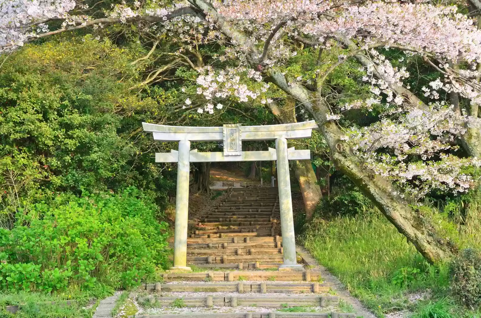 takebe shrine at the end hiyama shrine