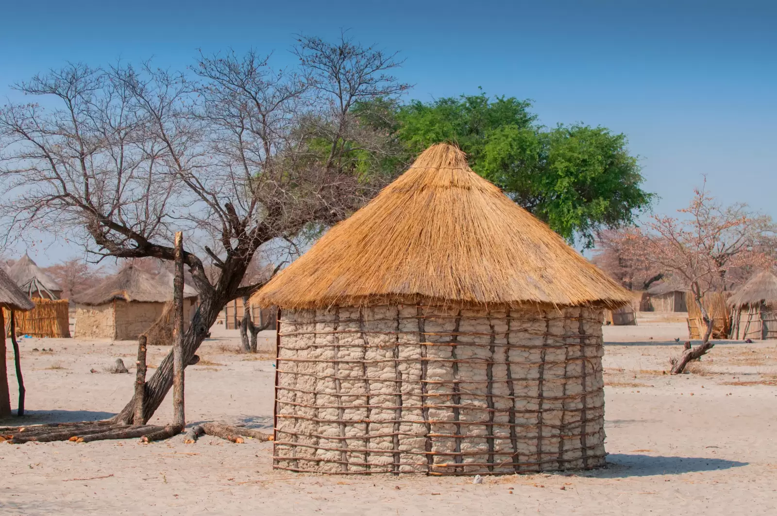 thatched roof african round hut in botswana