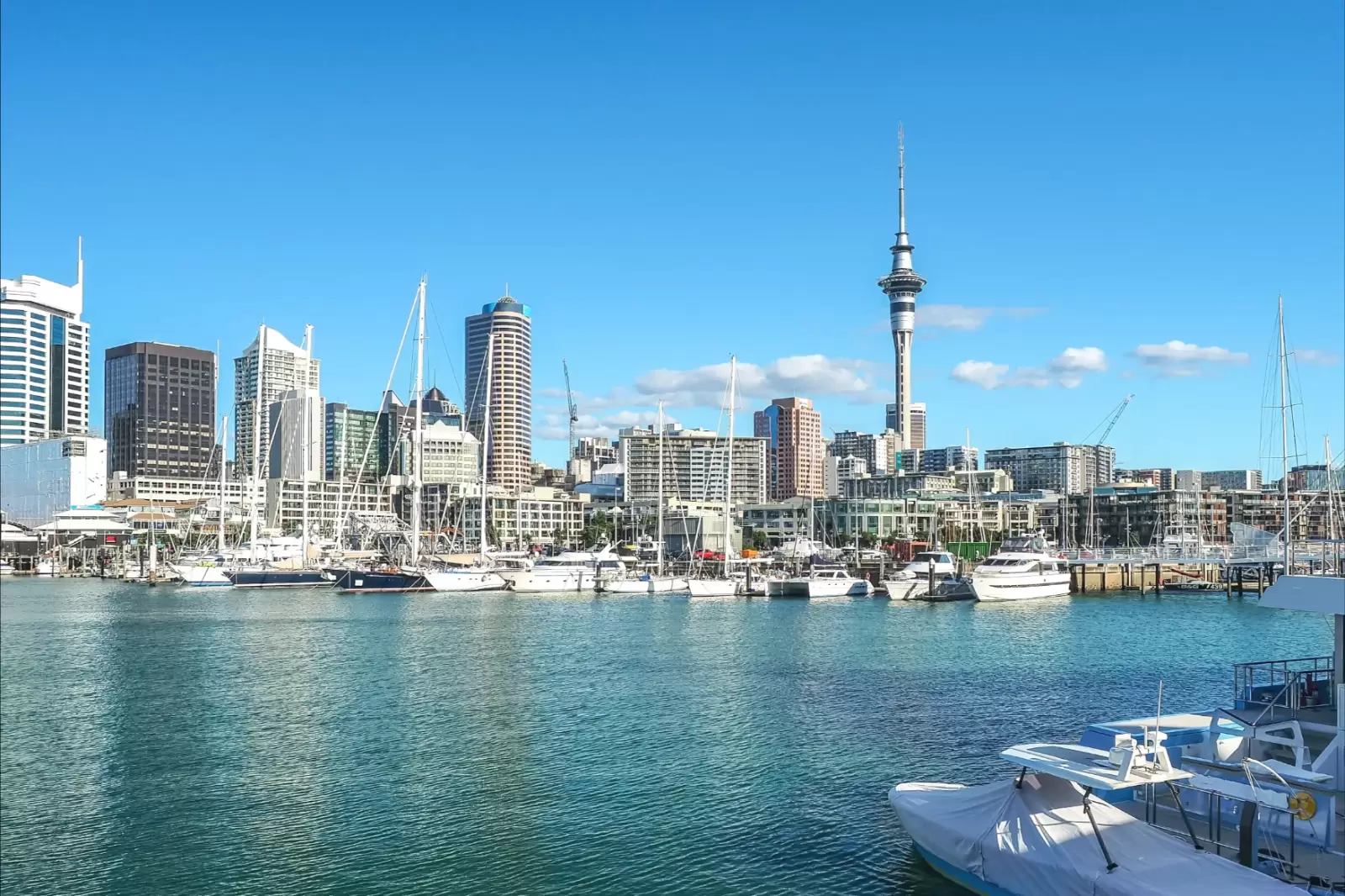 the famous harbor view and sky tower in auckland new zealand