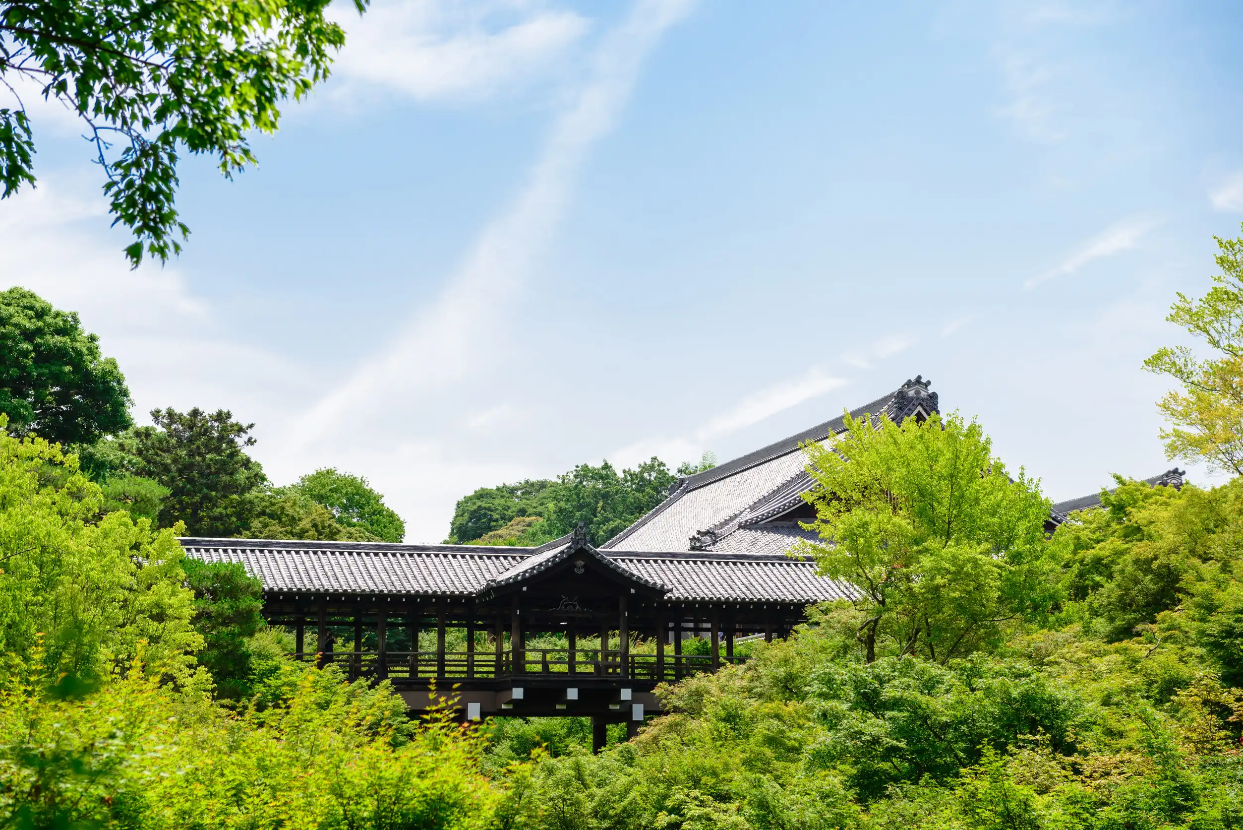 tofukuji temple kyoto city kyoto pref japan