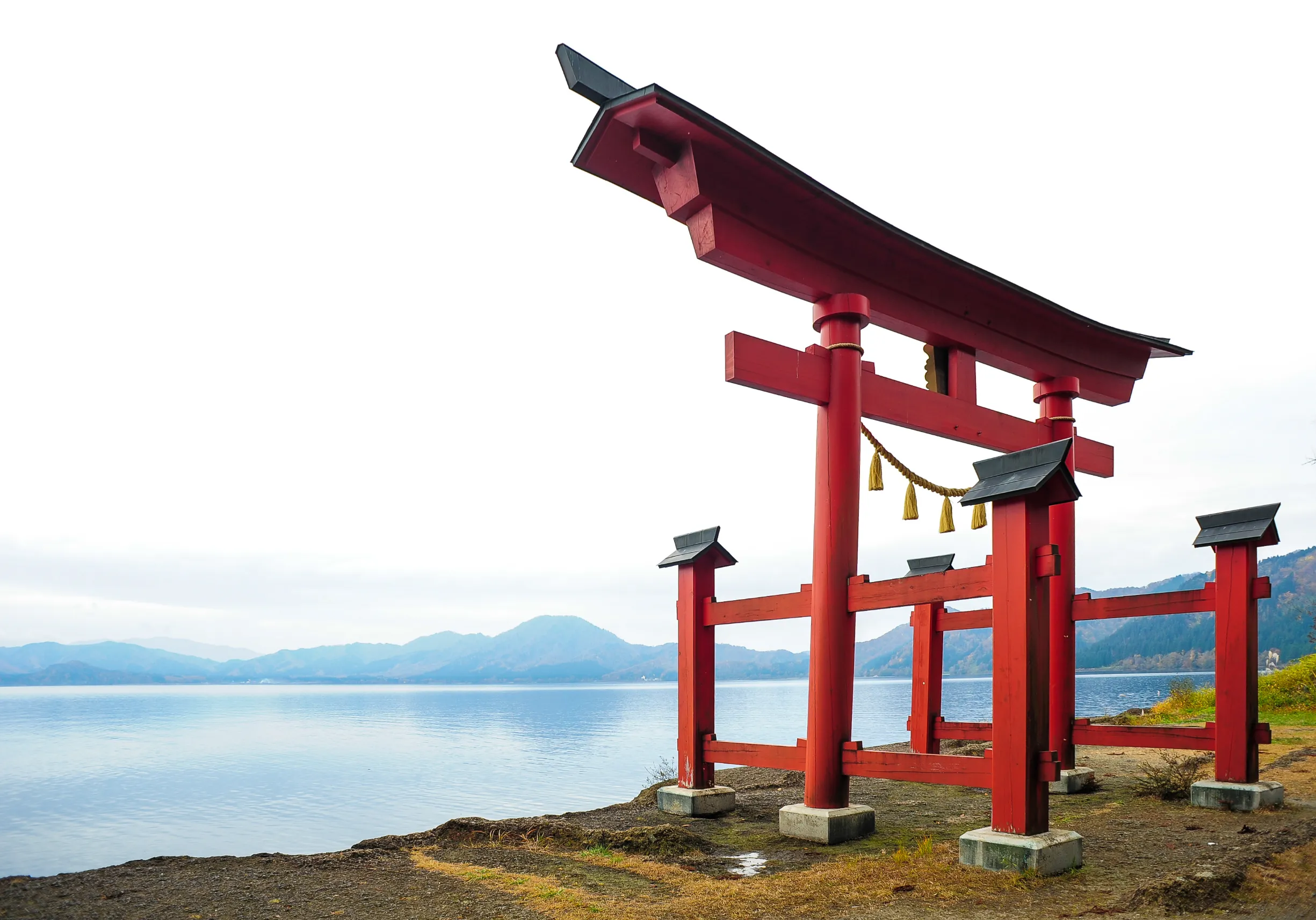 torii gates near river