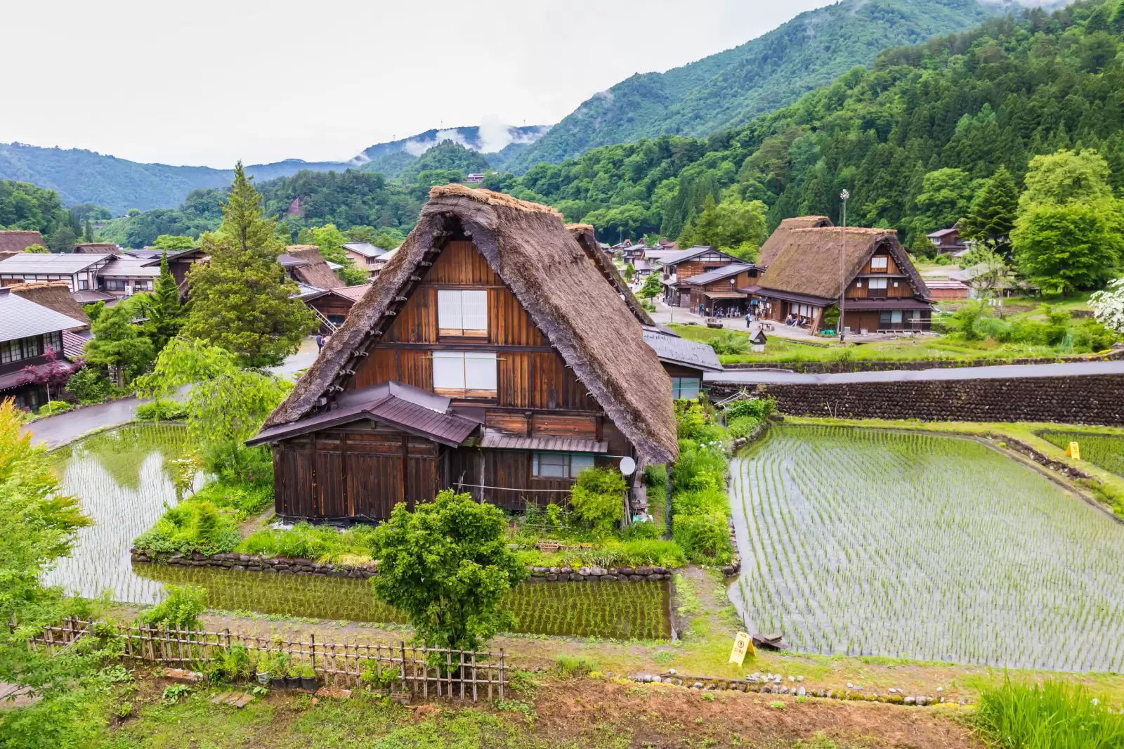 traditional gassho zukuri houses in the historical japanese village of shirakawago in gifu
