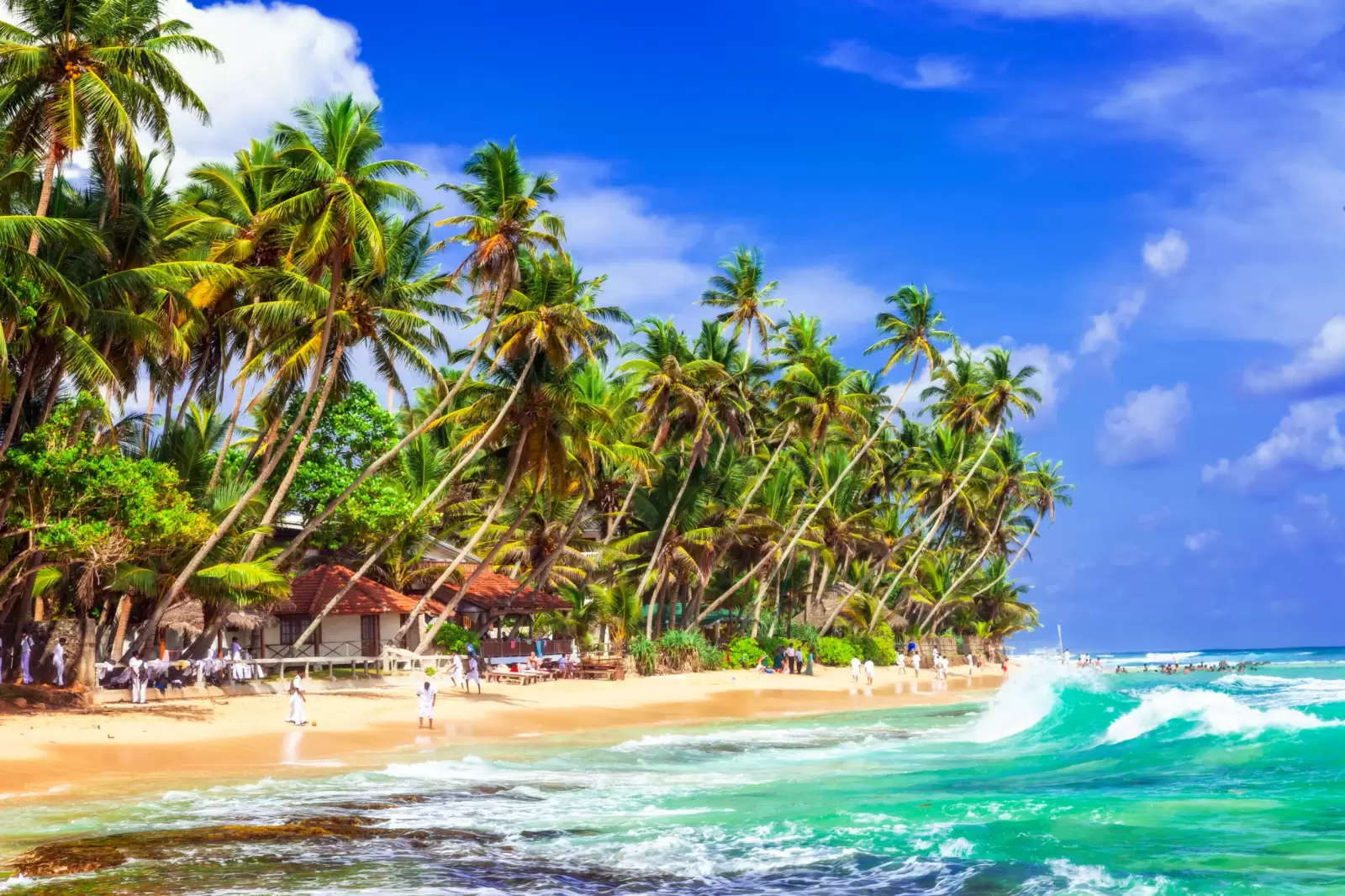 tropical paradise in hikkaduwa beach sri lanka