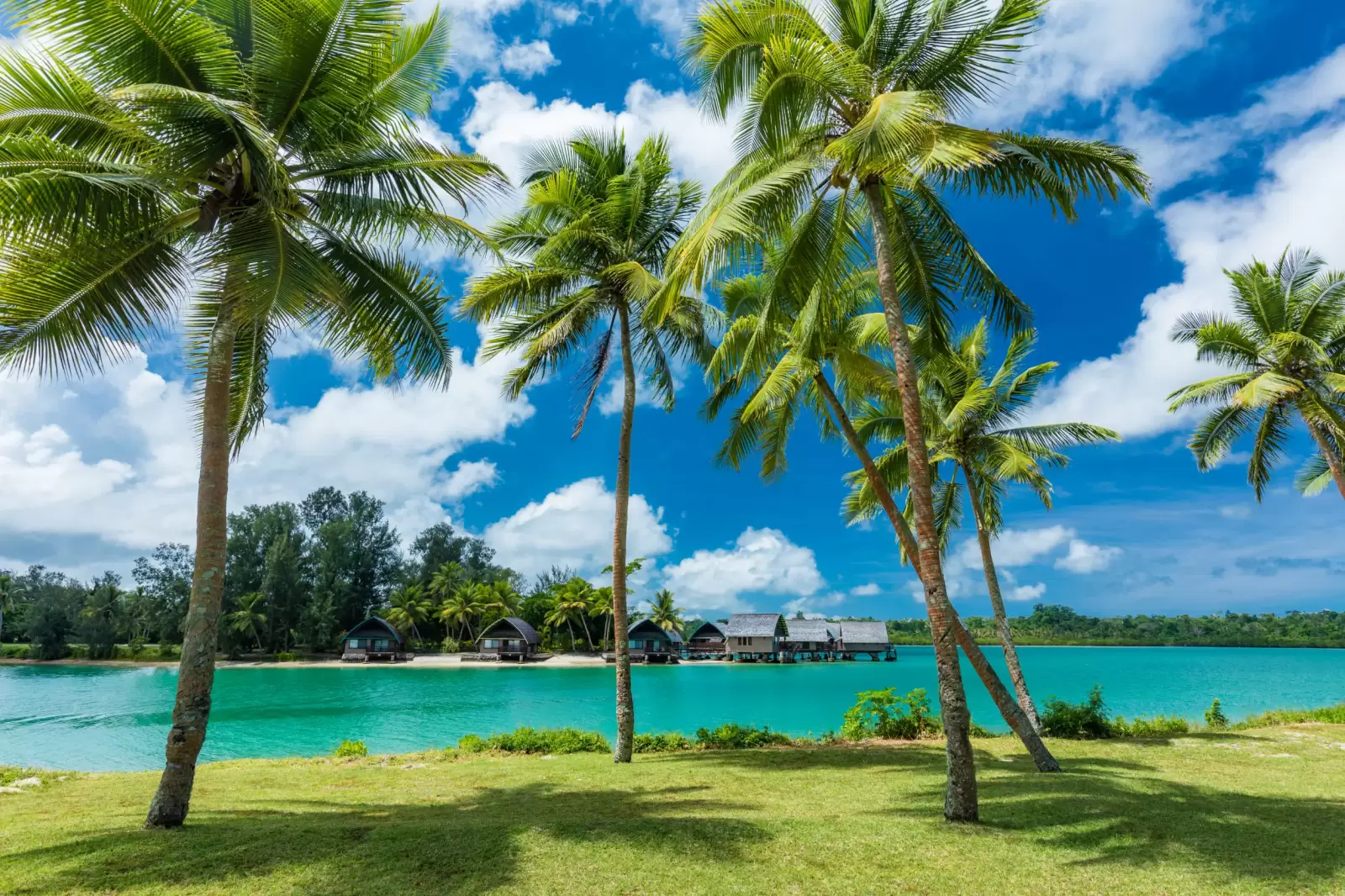 tropical resort destination in port vila efate island vanuatu with beach and palm