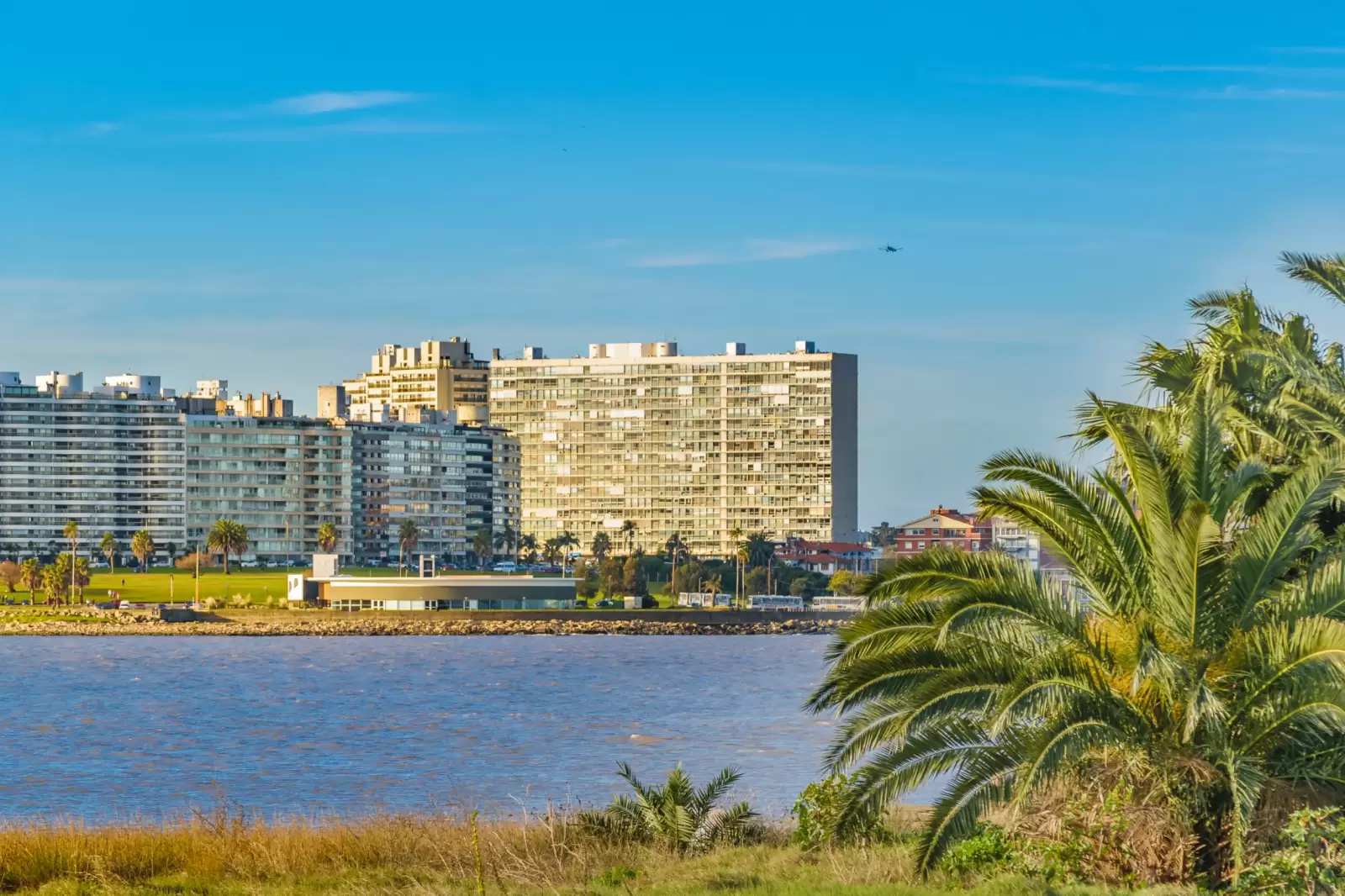 urban scene at the coast of montevideo city uruguay