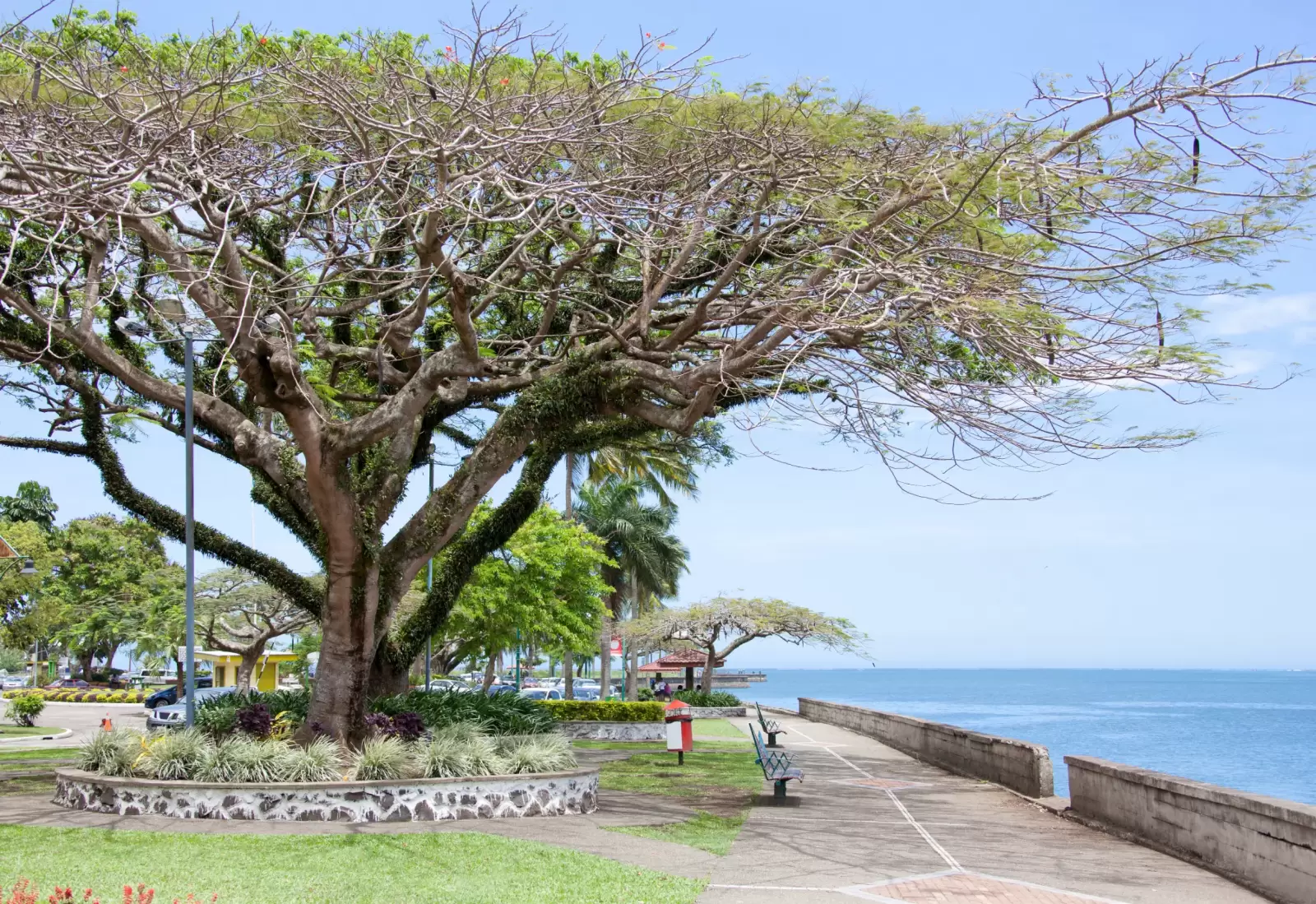 walkway along the shore in suva the capital of fiji