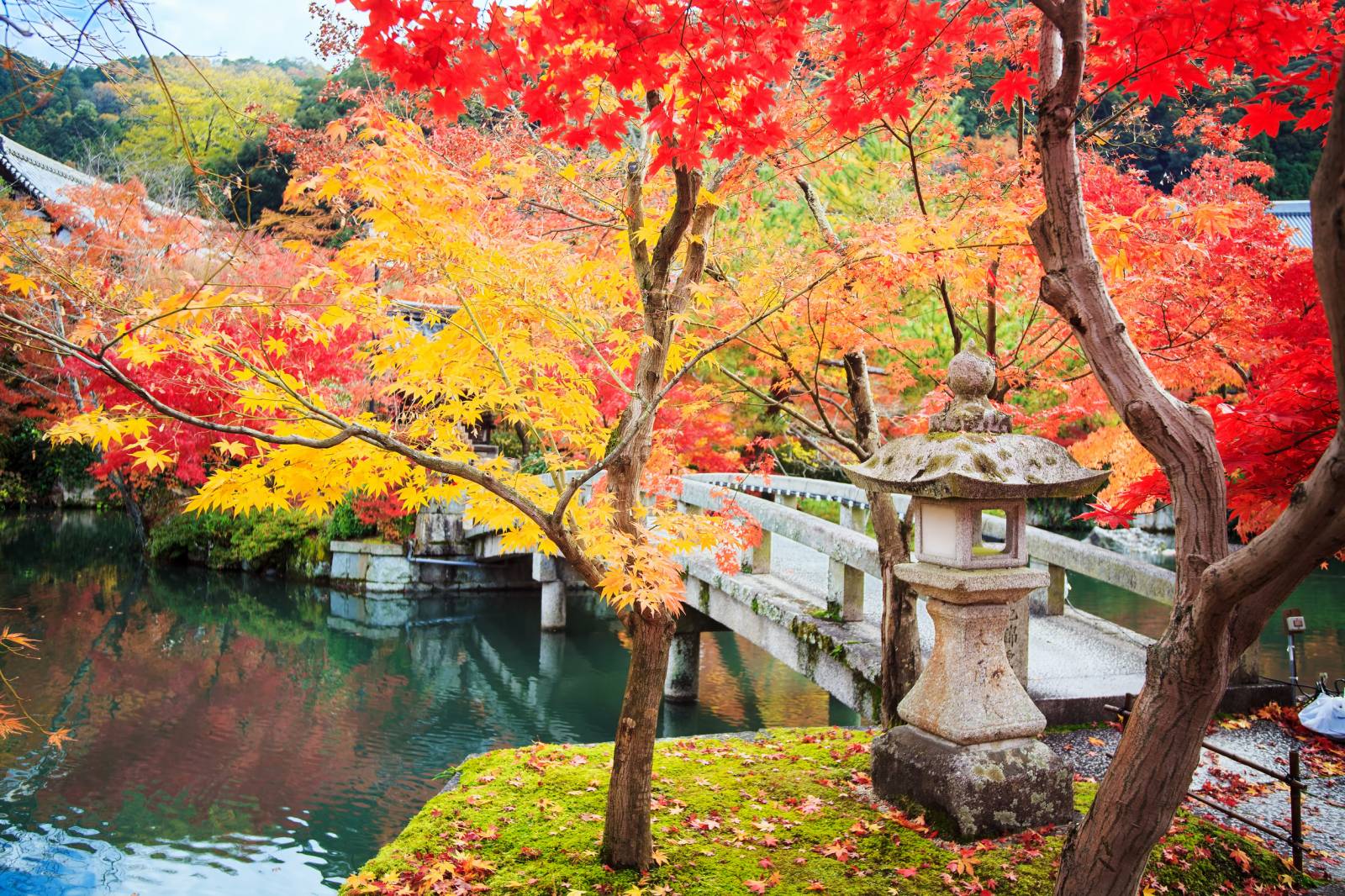 What To Pack For Autumn In Japan