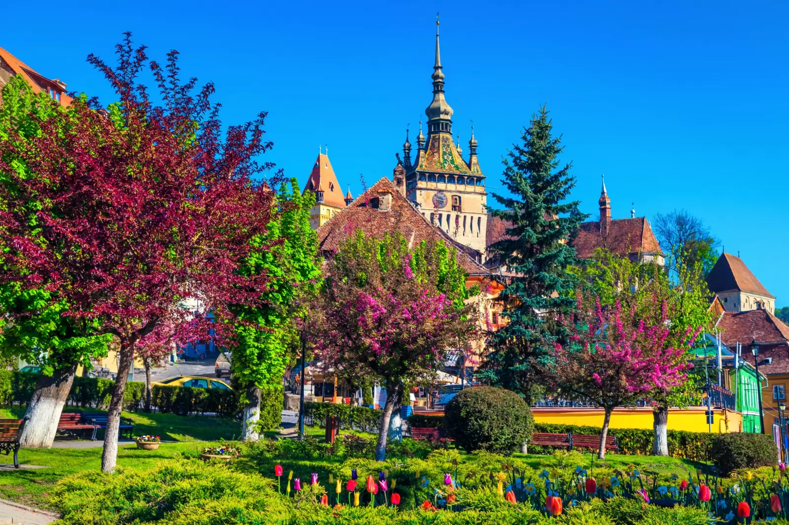 wonderful ornamental city park with colorful fresh tulips and spring flowering