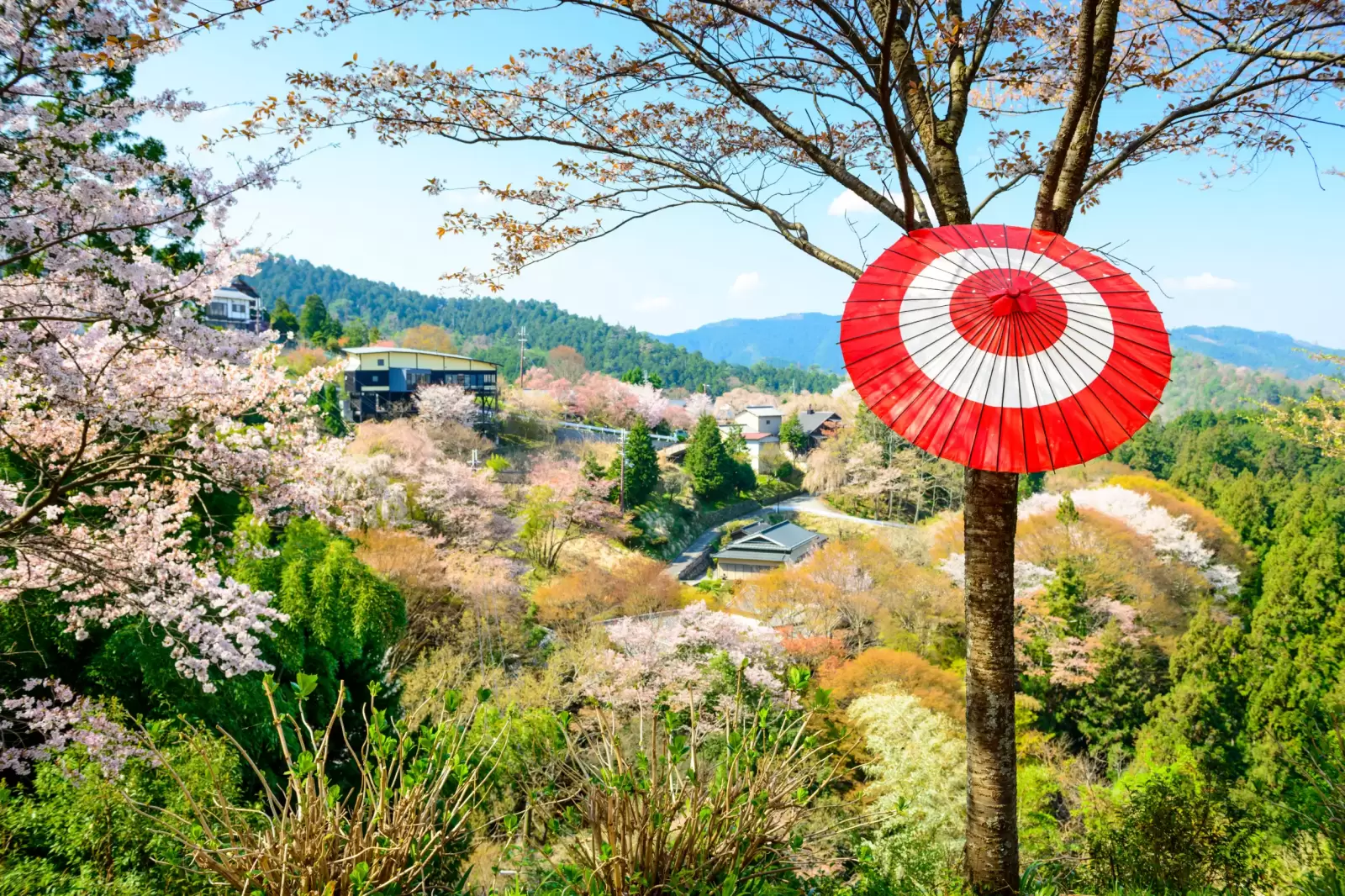 yoshinoyama nara japan during the spring season